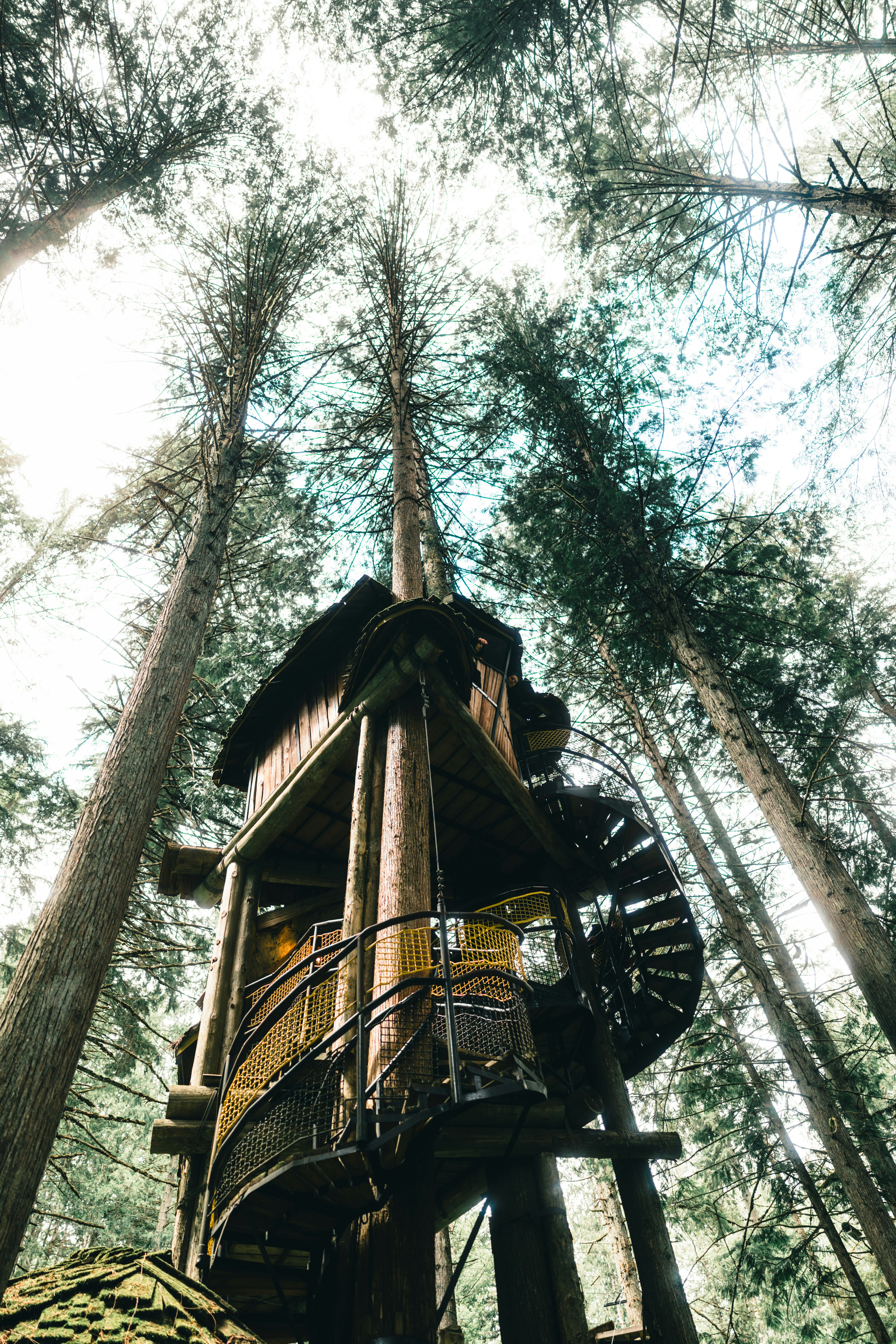 Photo by lureofadventure