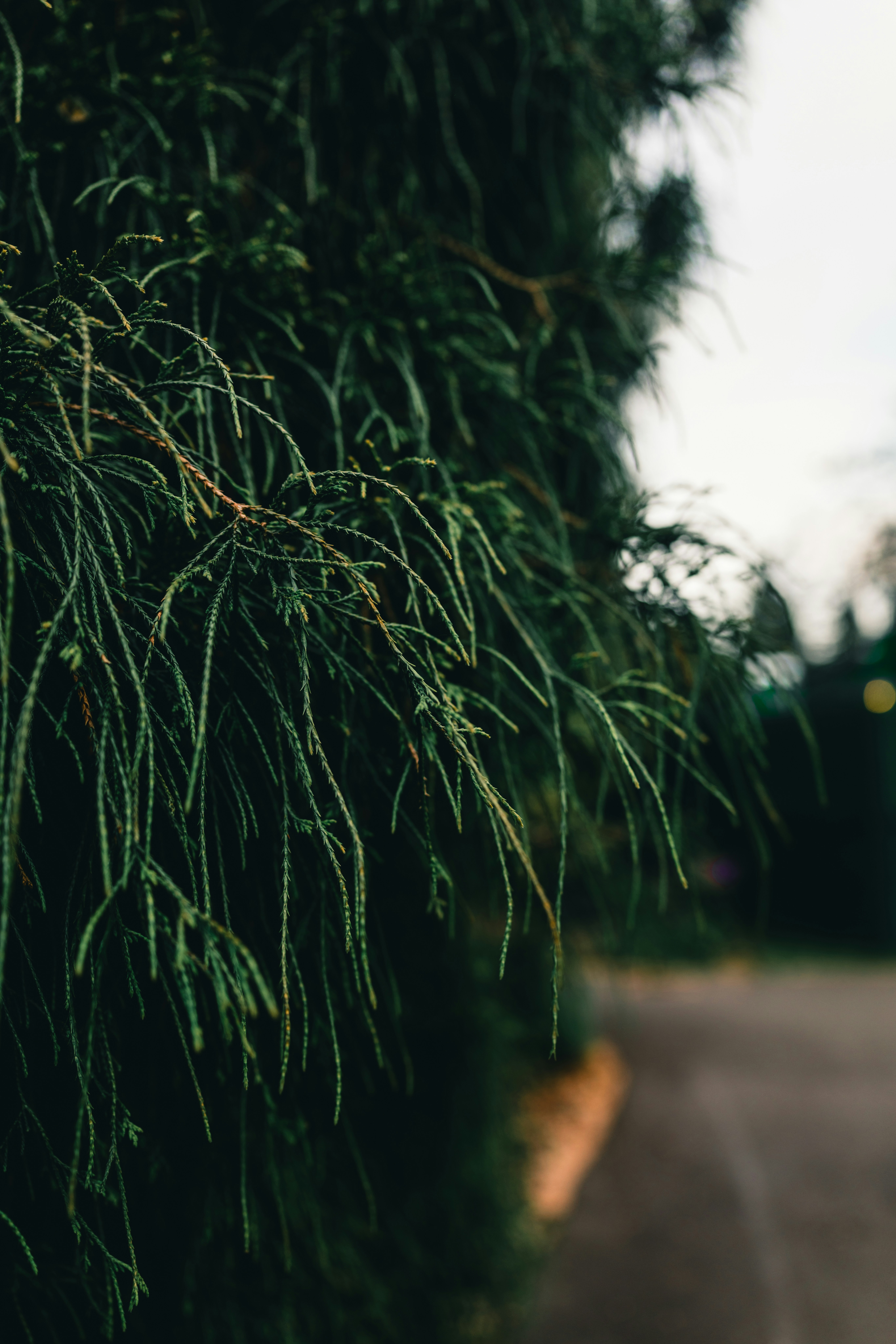 Photo by lureofadventure