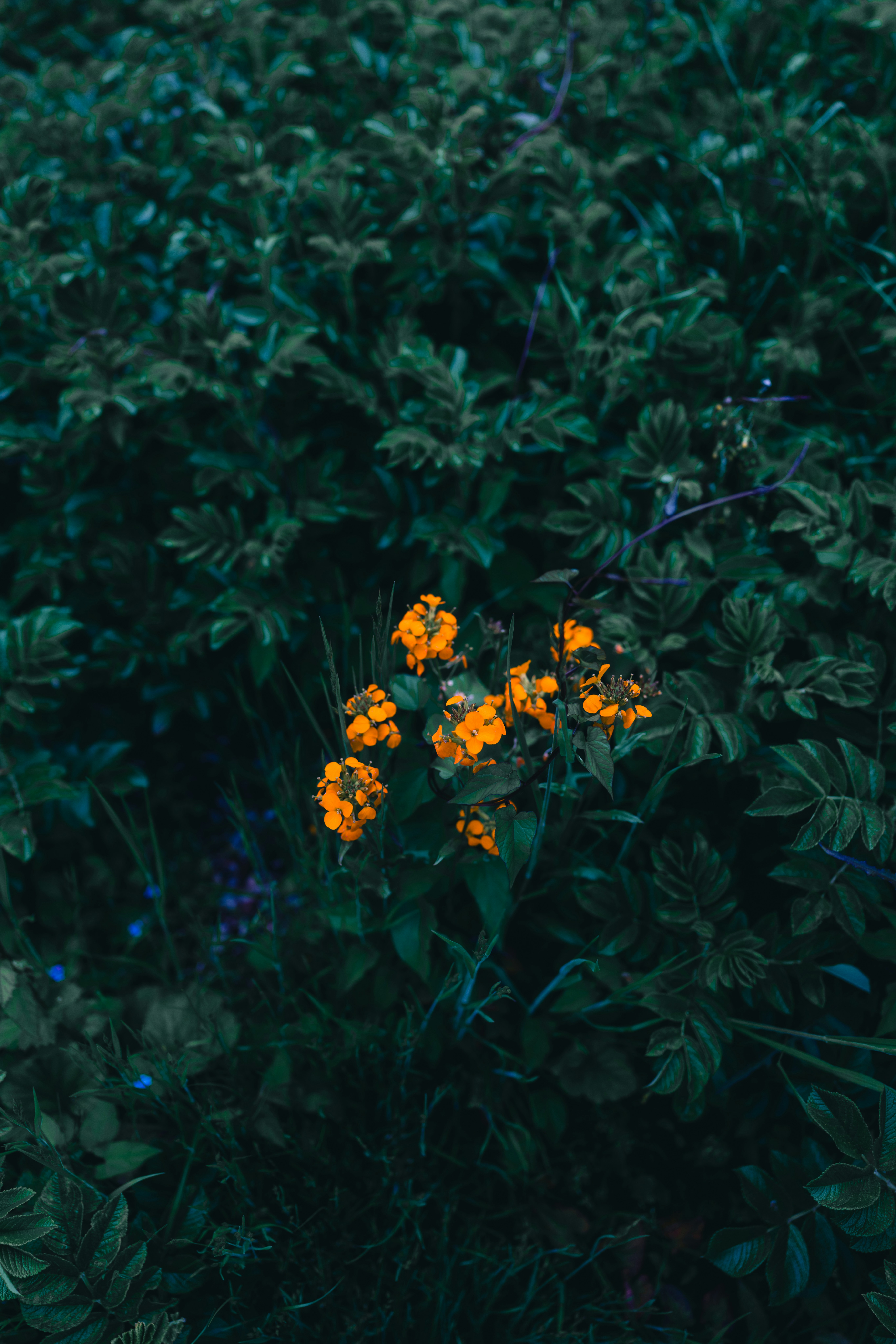 Photo by lureofadventure