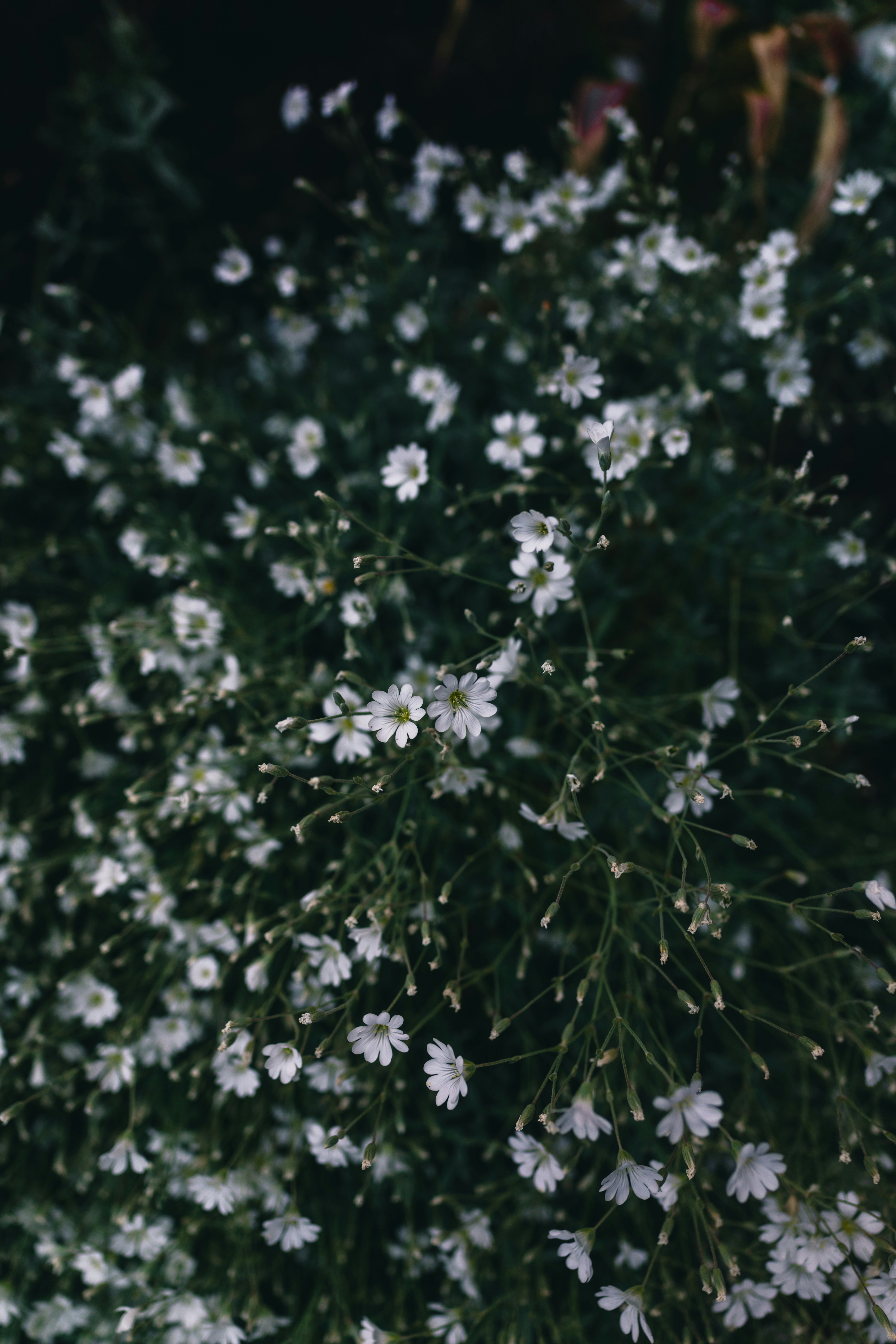 Photo by lureofadventure