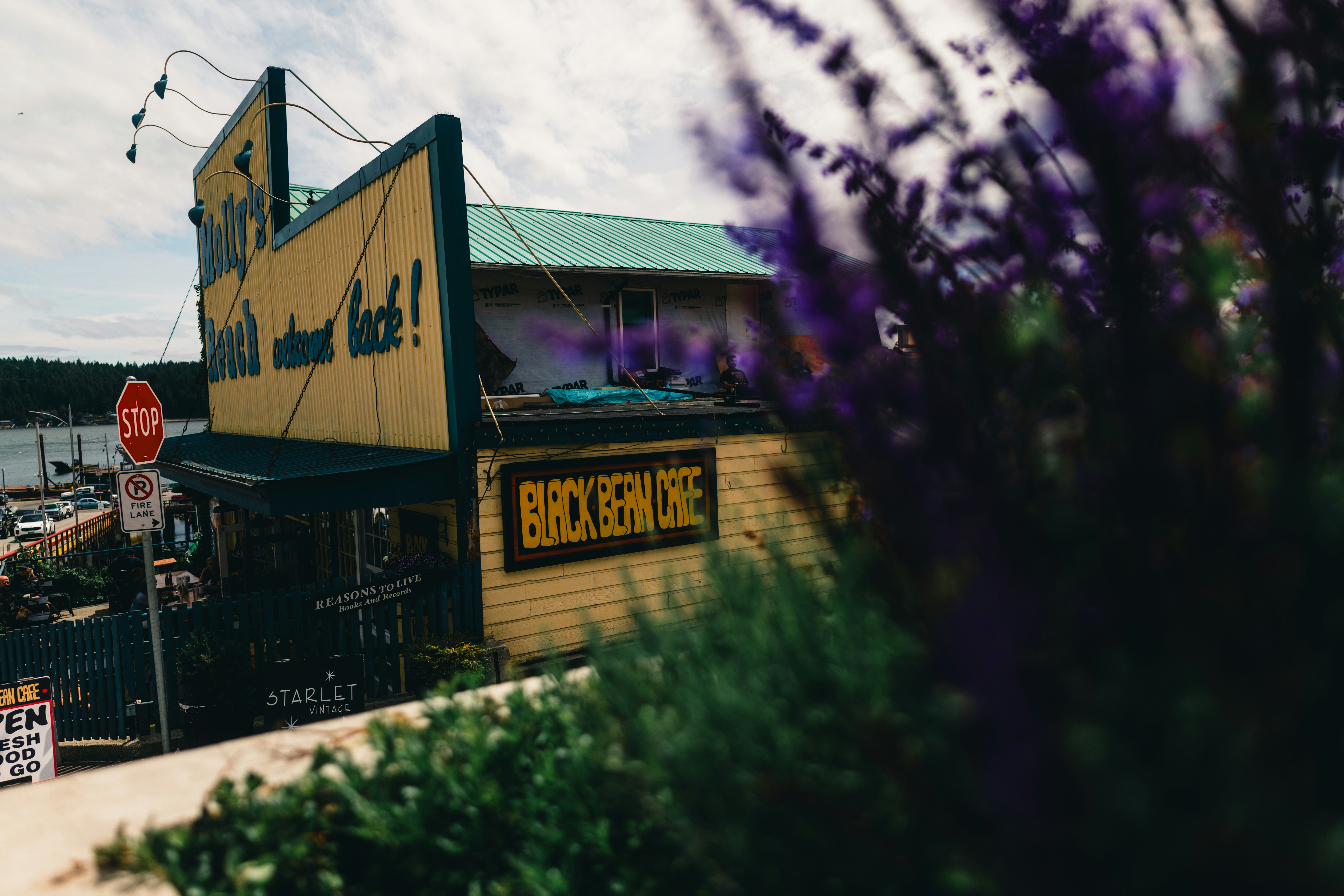 Photo by lureofadventure