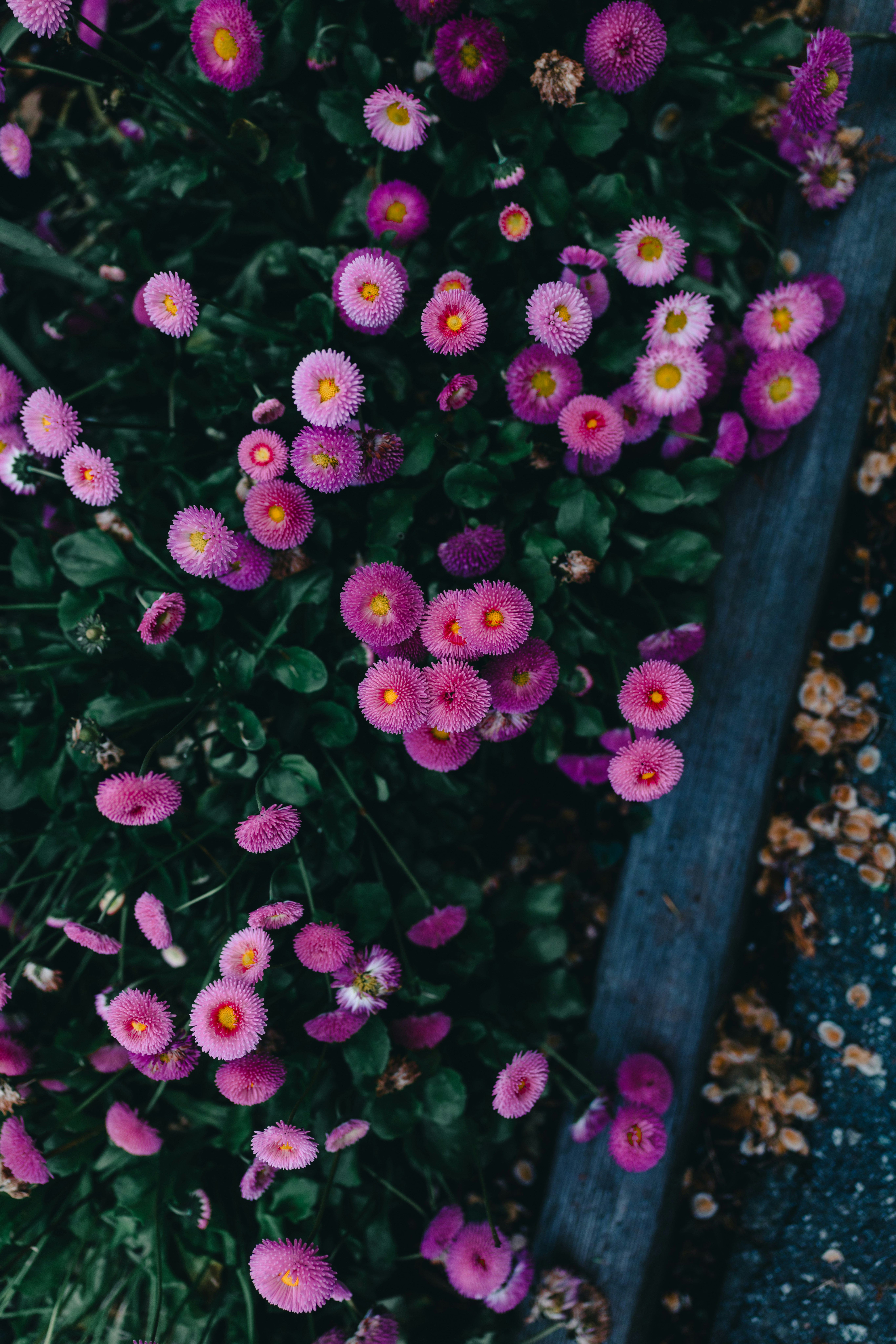 Photo by lureofadventure