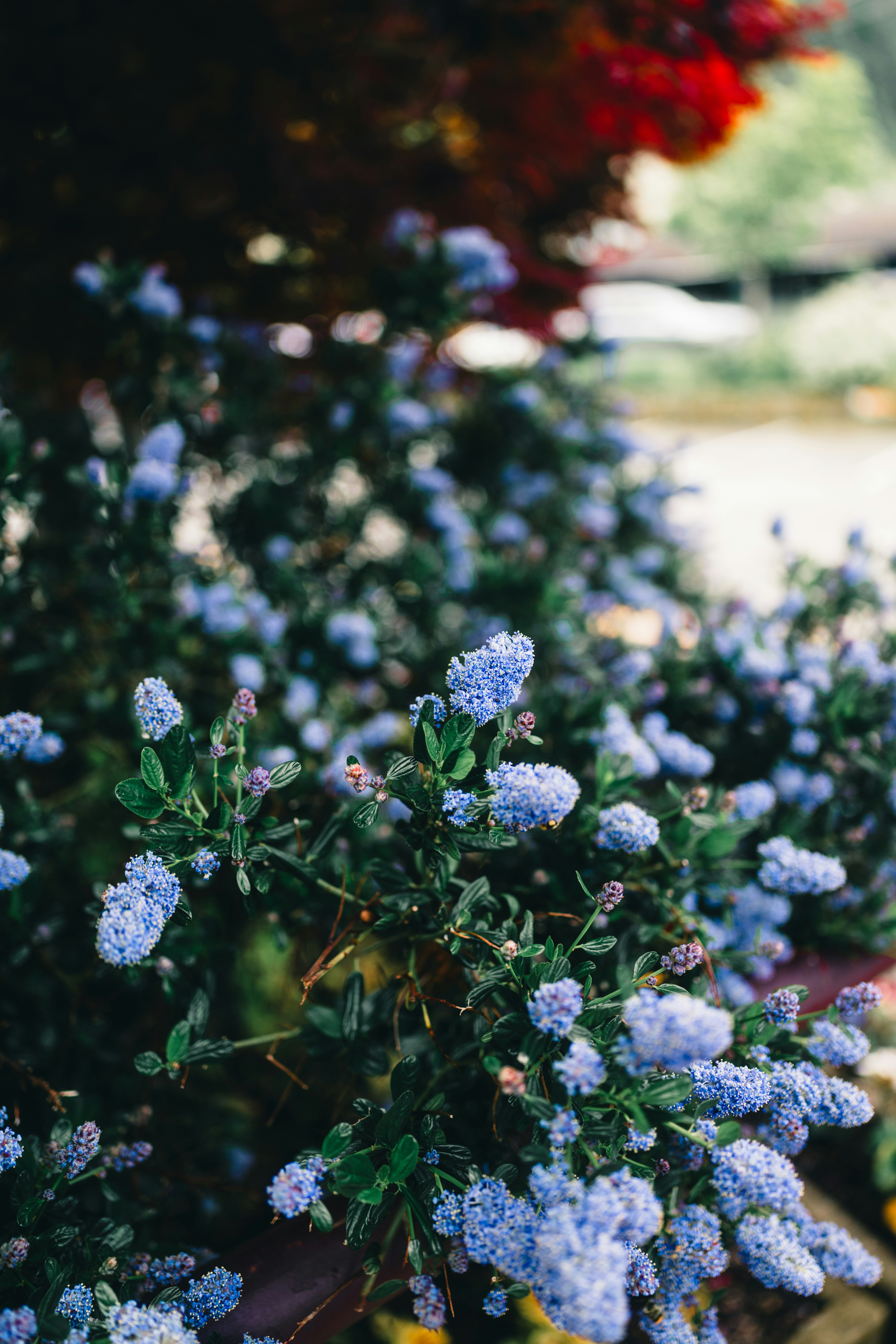 Photo by lureofadventure