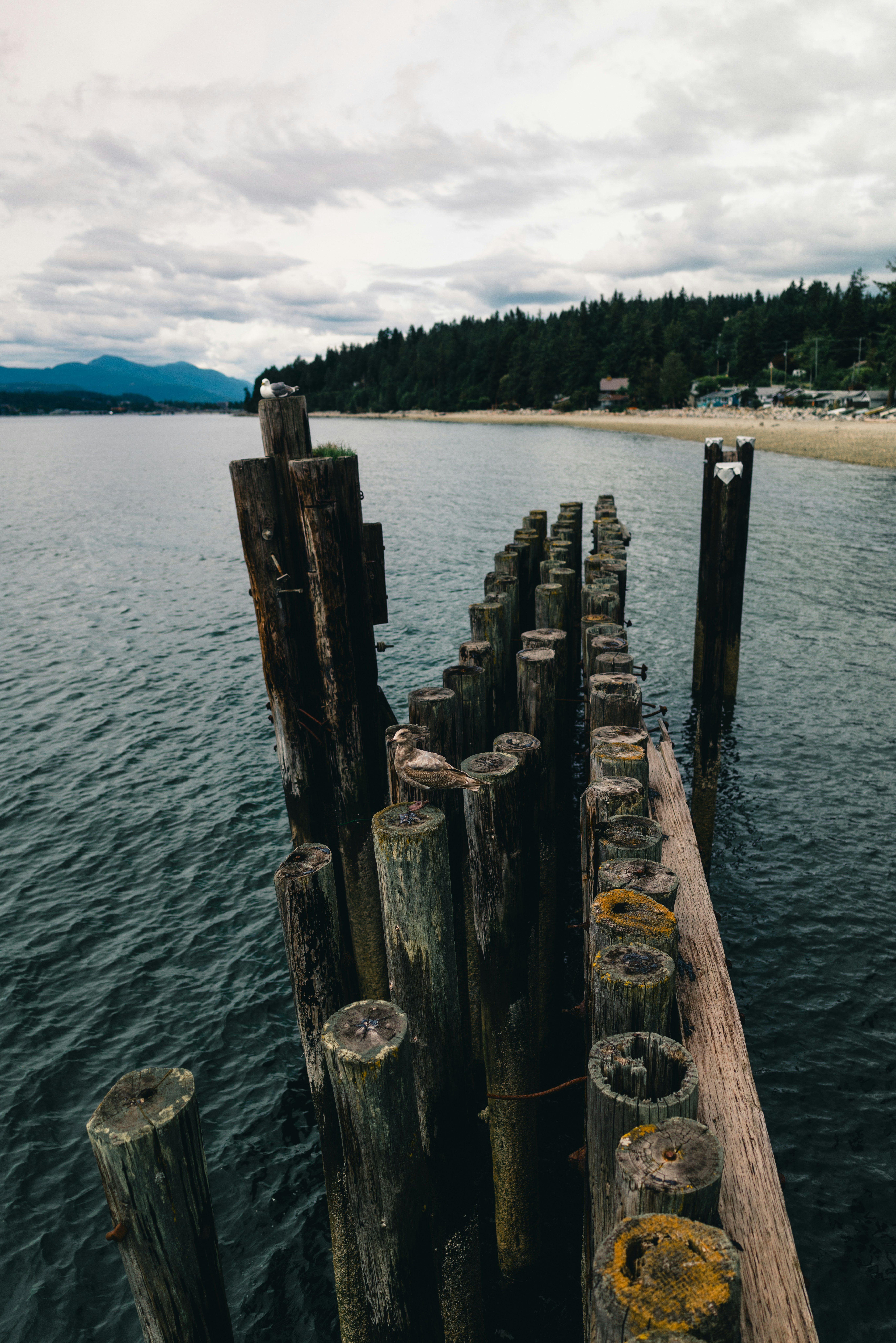 Photo by lureofadventure