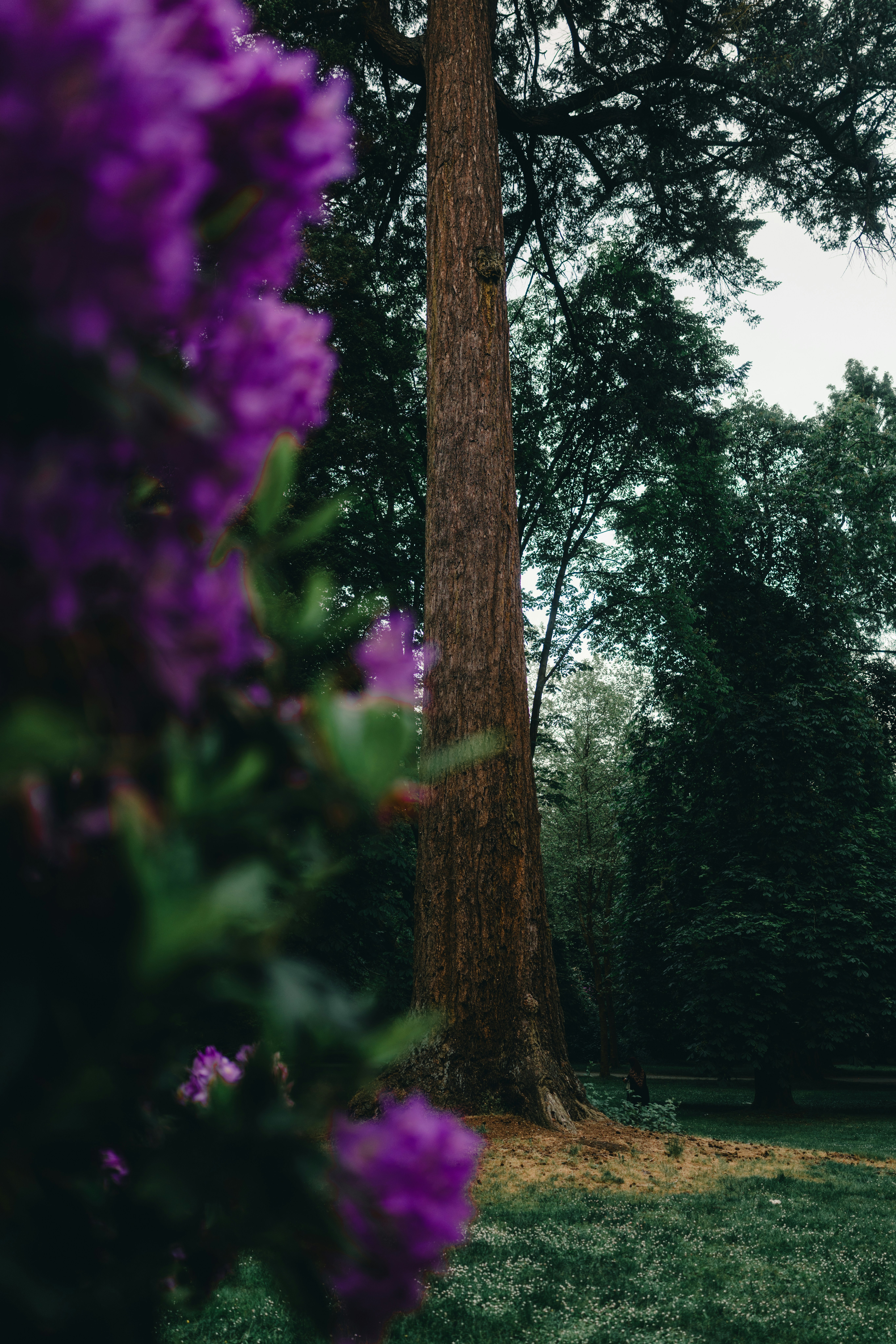 Photo by lureofadventure