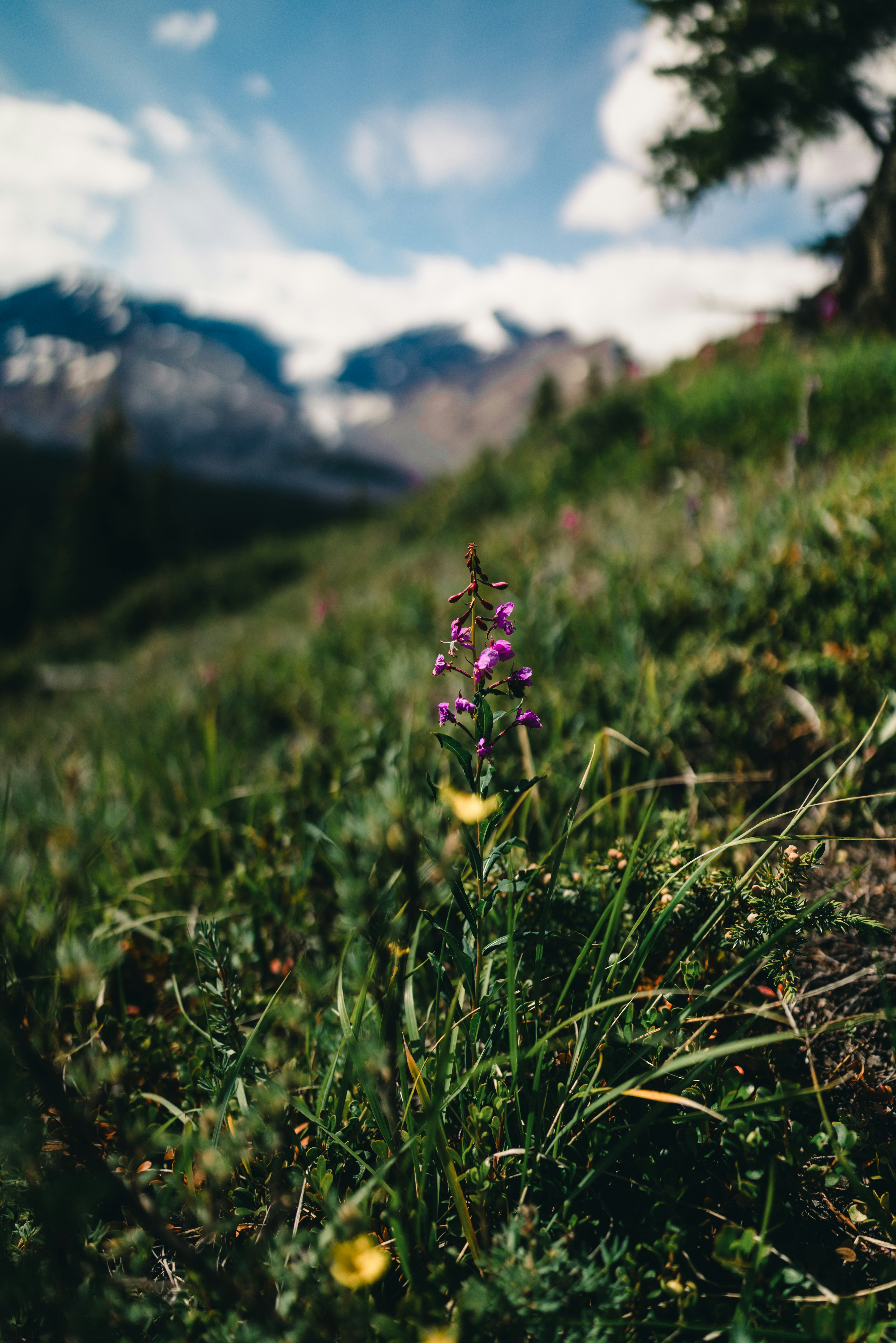 Photo by lureofadventure