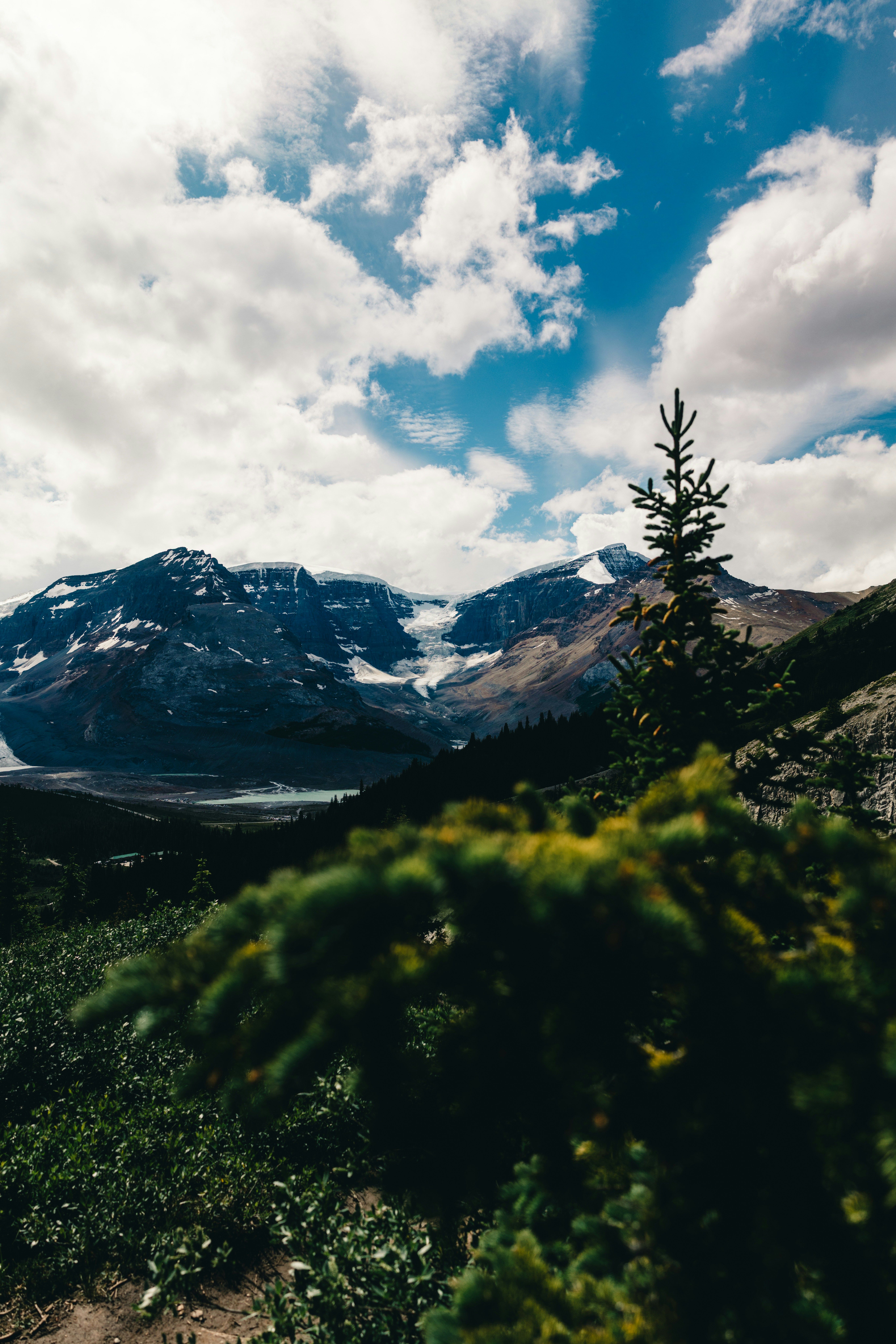 Haoyiyi 12x8フィート 自然 風景 背景 村 緑 田舎 山 土地 収穫 自然風景 写真 背景 子供 大人 キャンプ テーマ  今年見頃を迎えた日本の美しい風景』 を厳選してご紹介！🤗 📸Photo by  @hashimoto_toshiaki（#sorakataphoto_hashimoto_toshiaki） 【タイトル】先日撮影 ..., image size:3000x4498