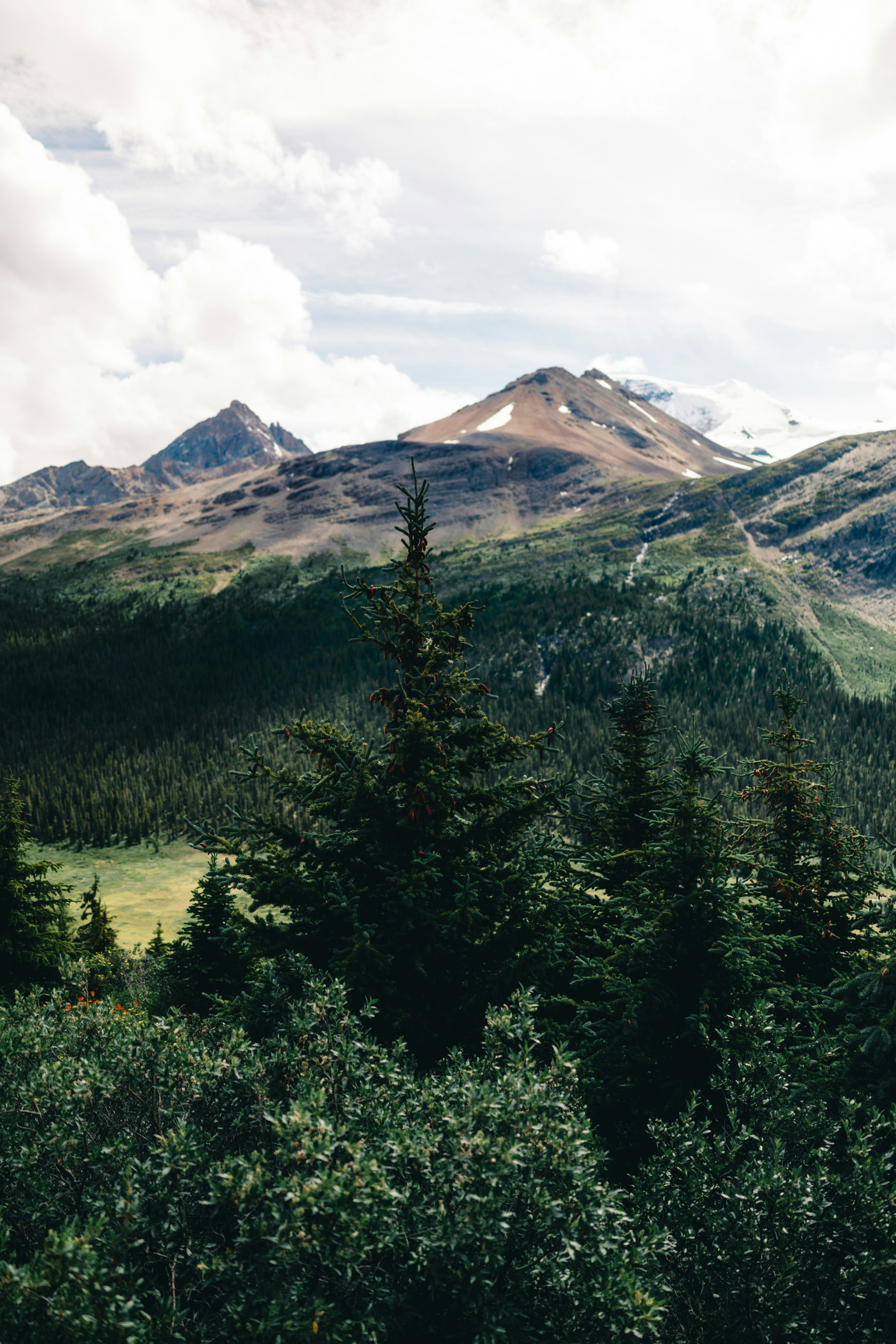 Photo by lureofadventure