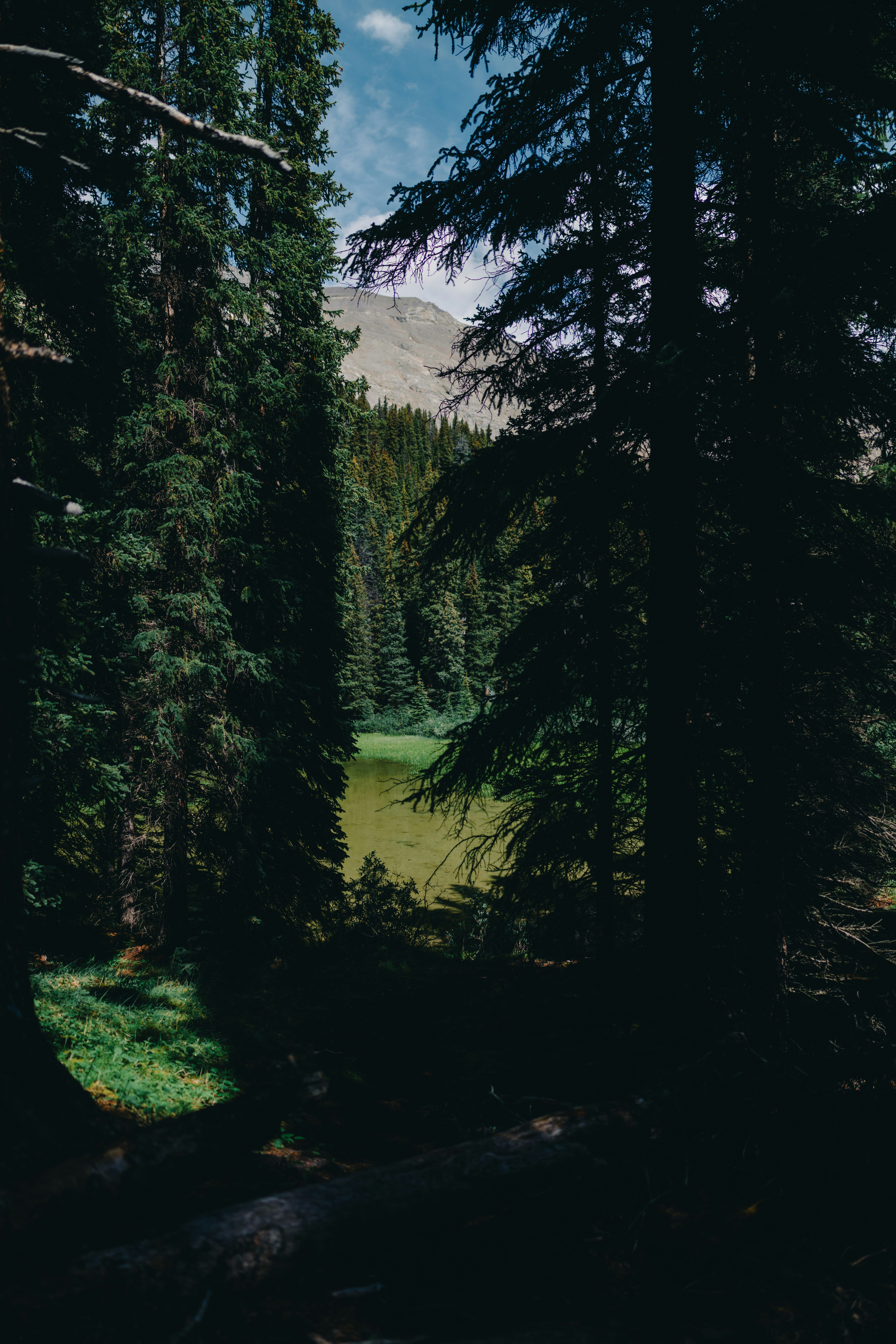 Photo by lureofadventure