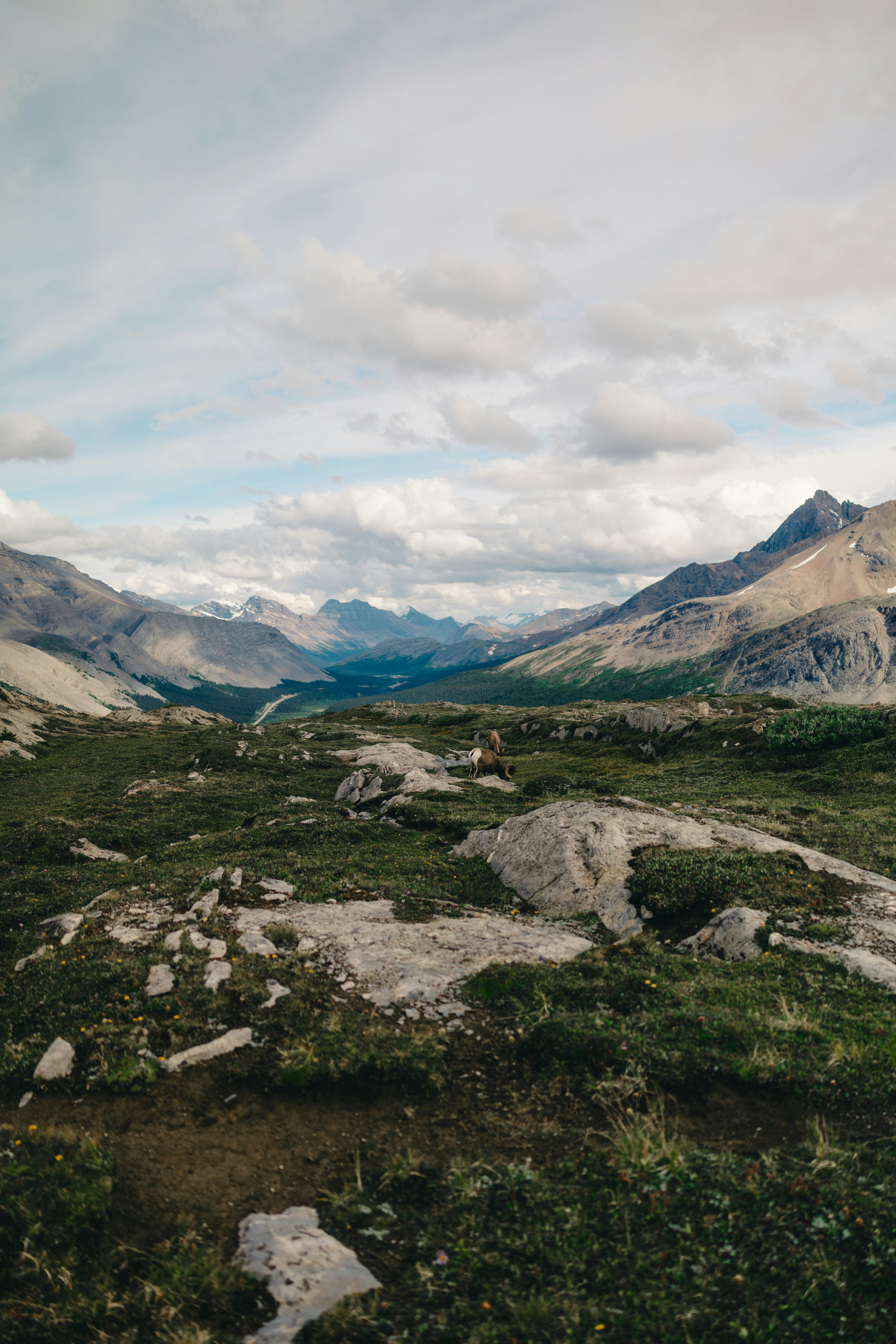 Photo by lureofadventure