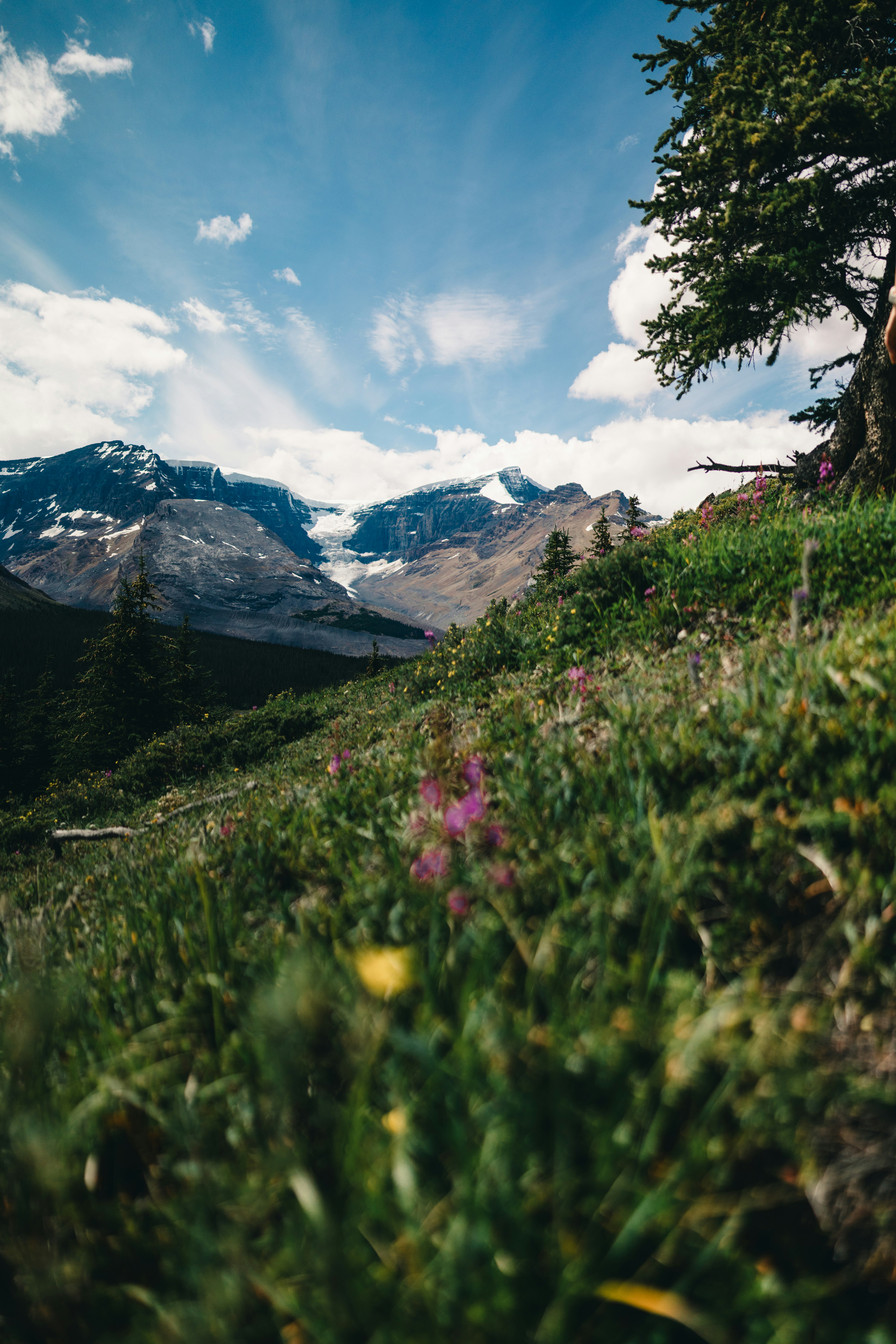 Photo by lureofadventure