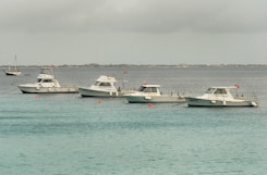 Boats are anchored in the calm, blue ocean.
