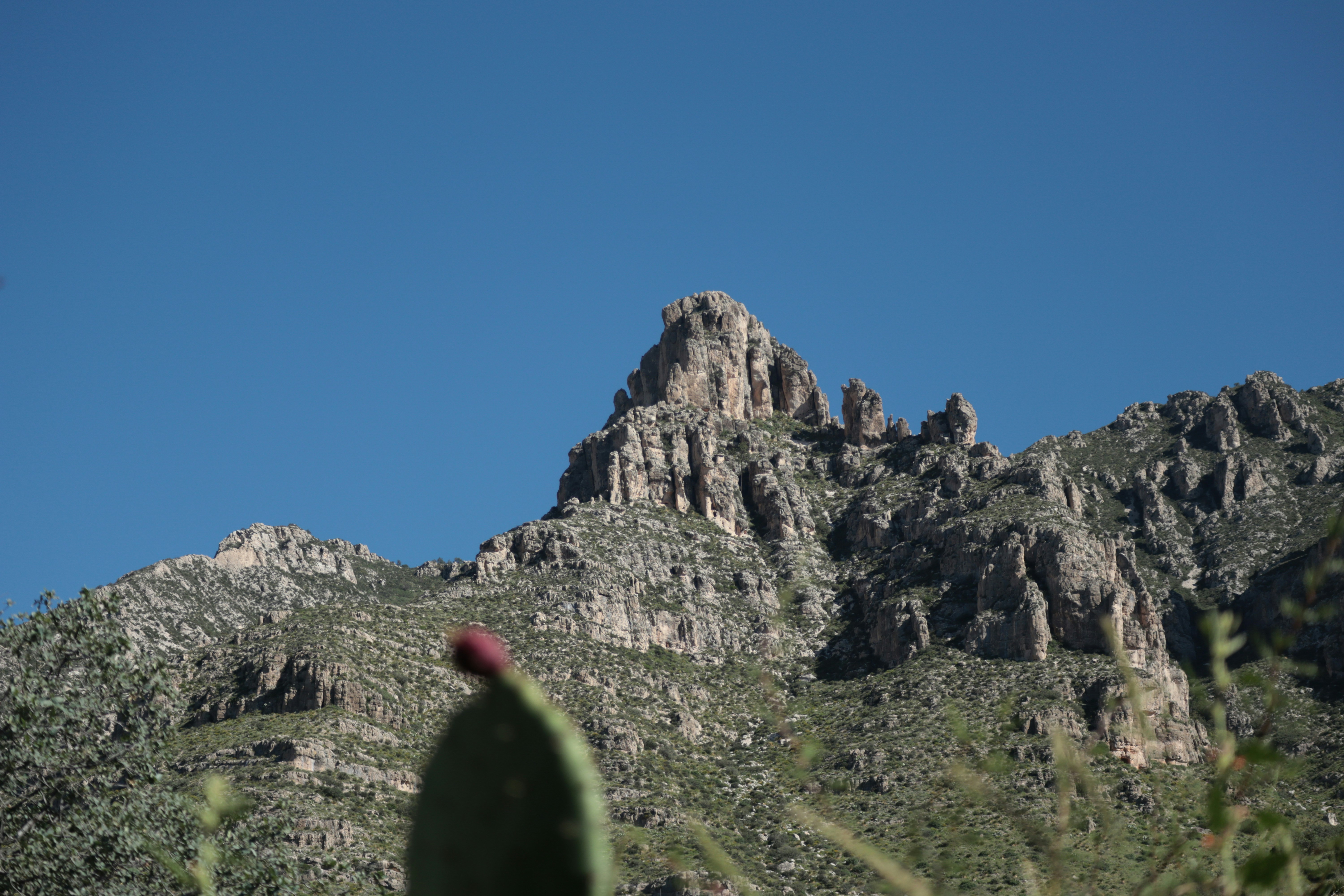 Rugged mountains rise against a clear blue sky.