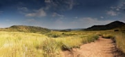 A dirt path leads through a grassy field.