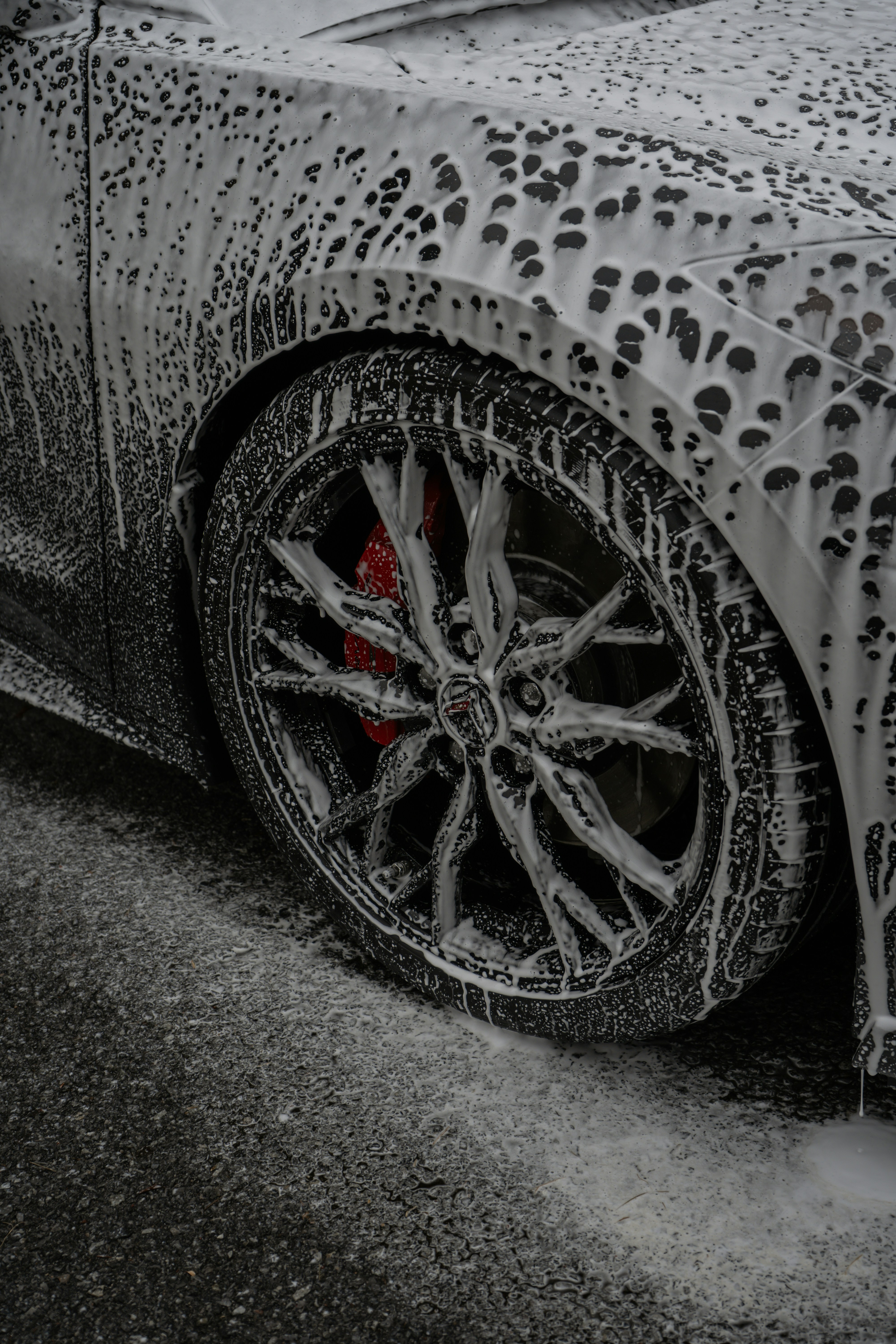 Signature Care's image