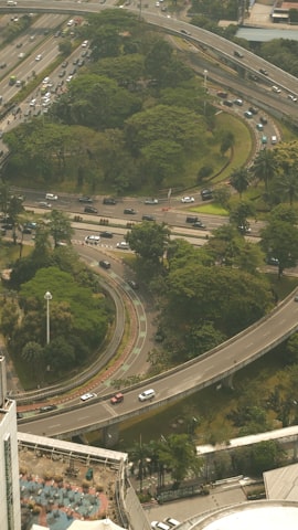 פקקי תנועה ותחבורה