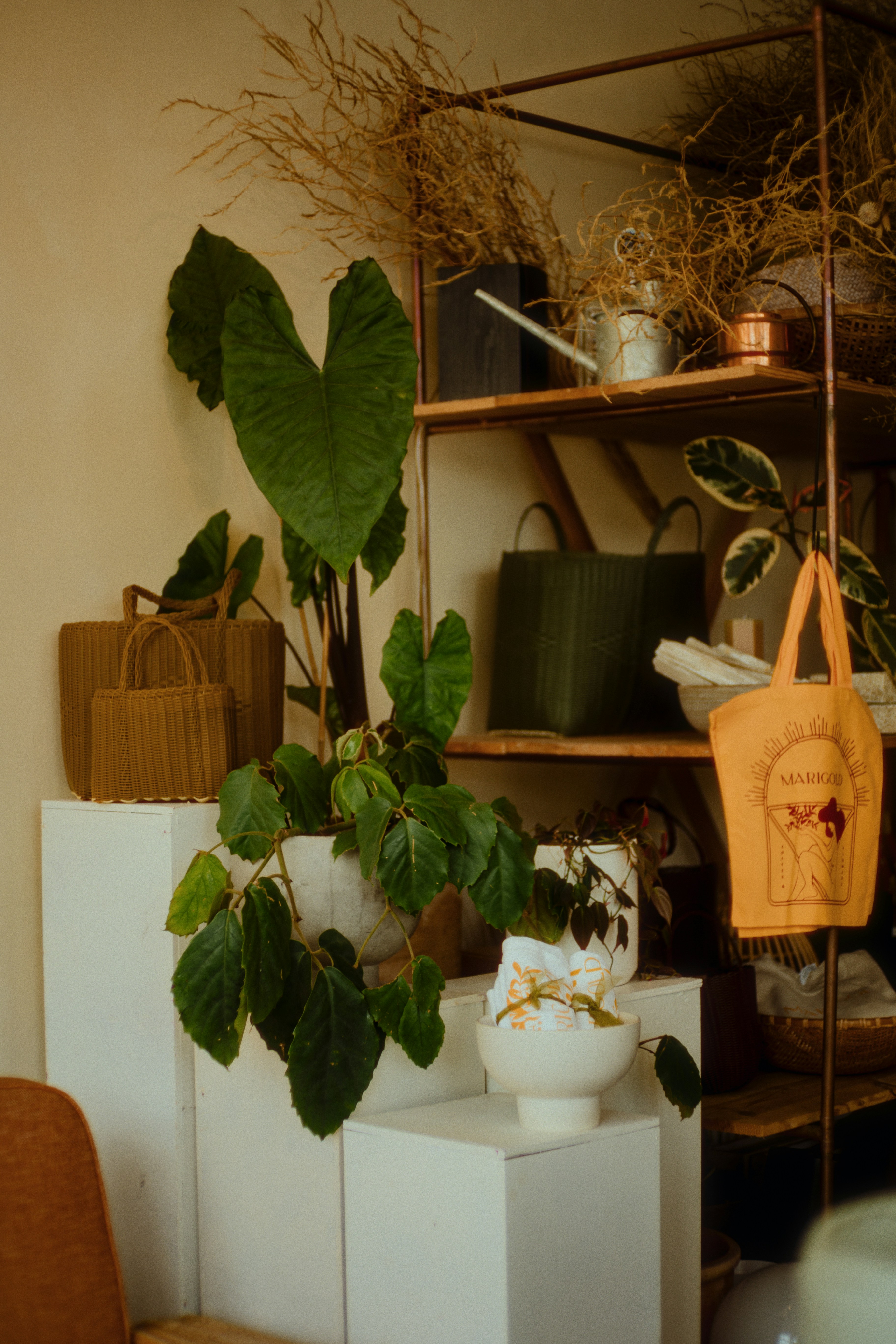 Plants and bags decorate the shelves of the room.