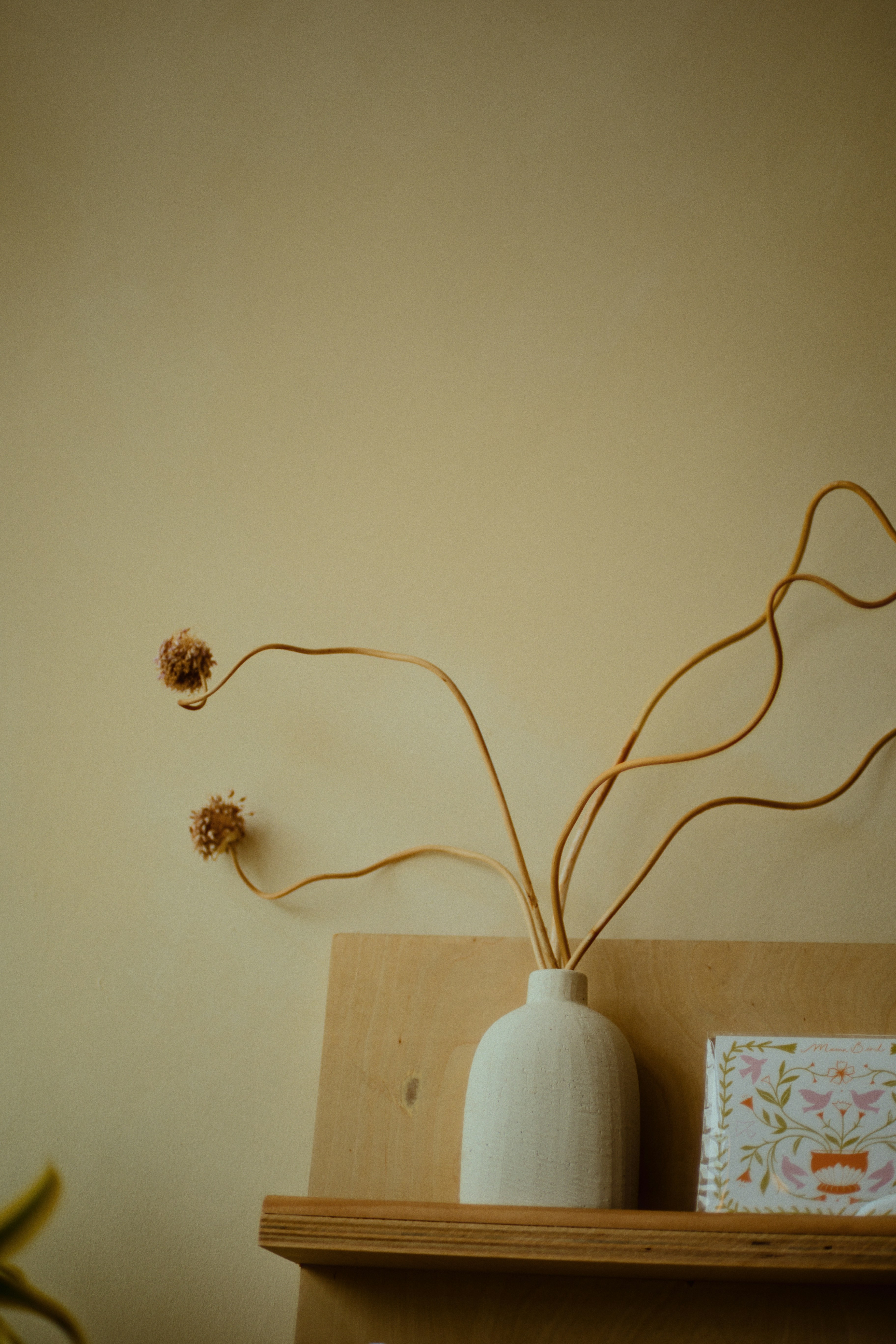 Dried flowers rest in a white vase.