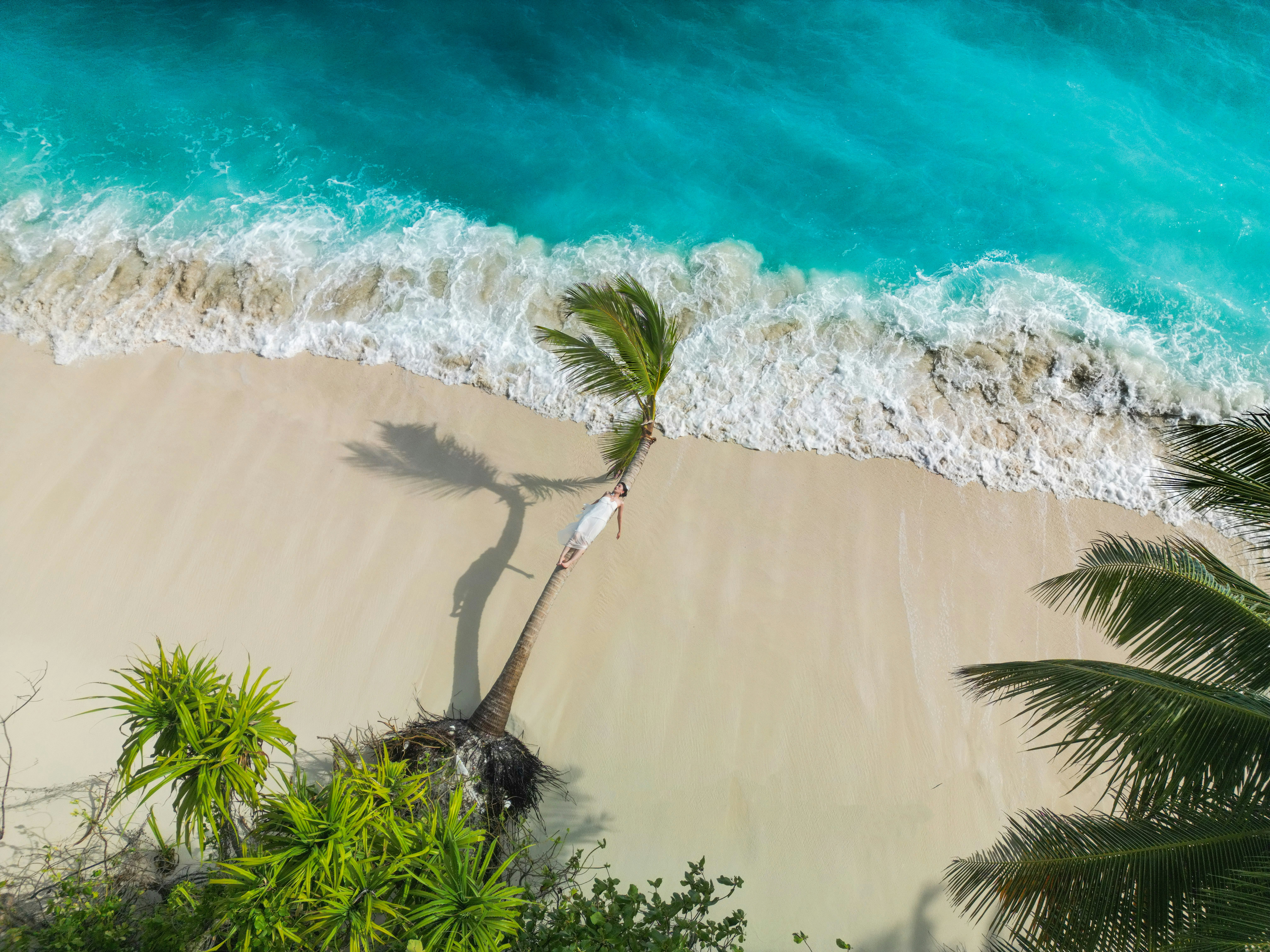 Photo by jumanjiphotos