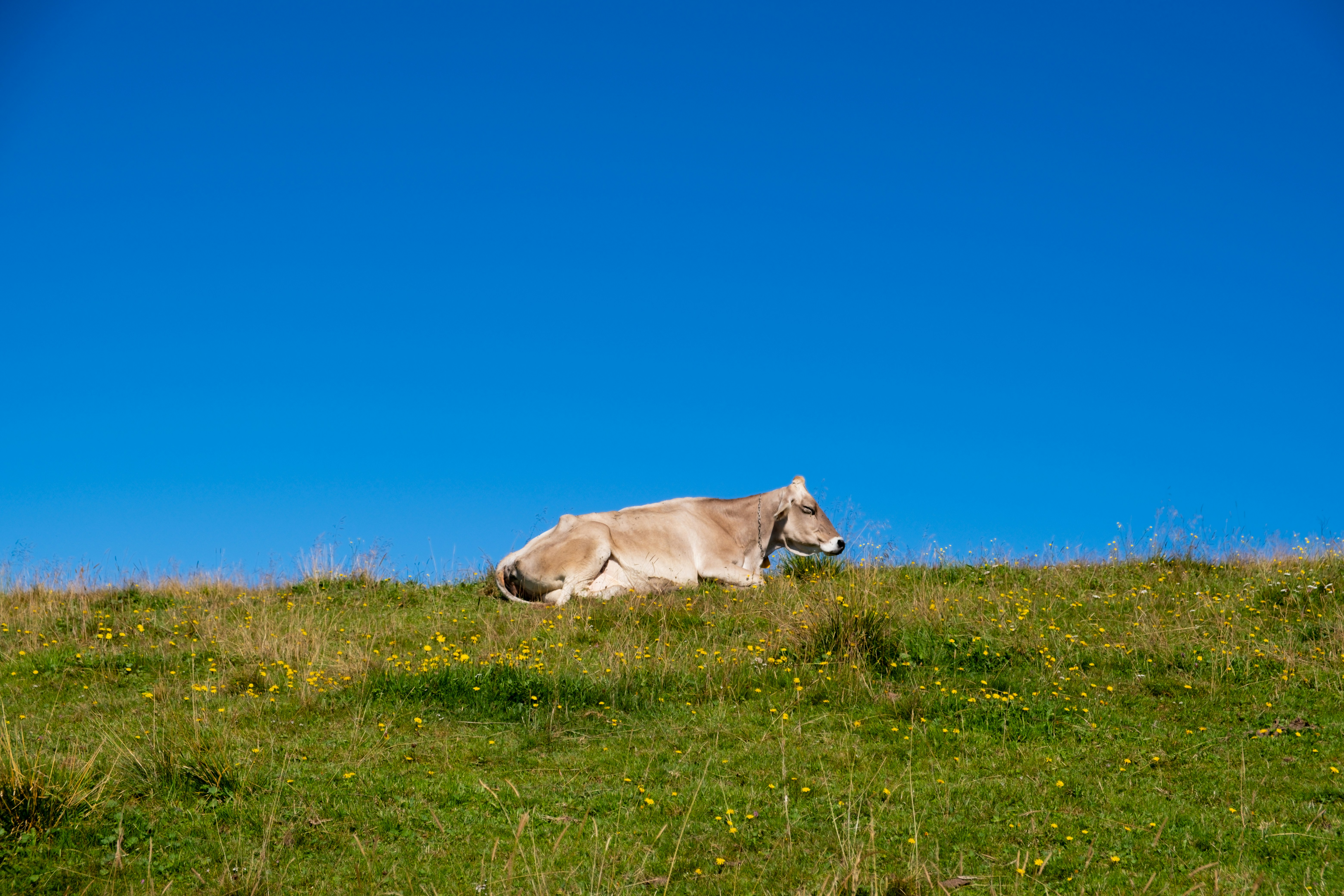 Photo by researchingframes