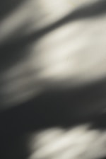 Shadows and light create a moody abstract composition.