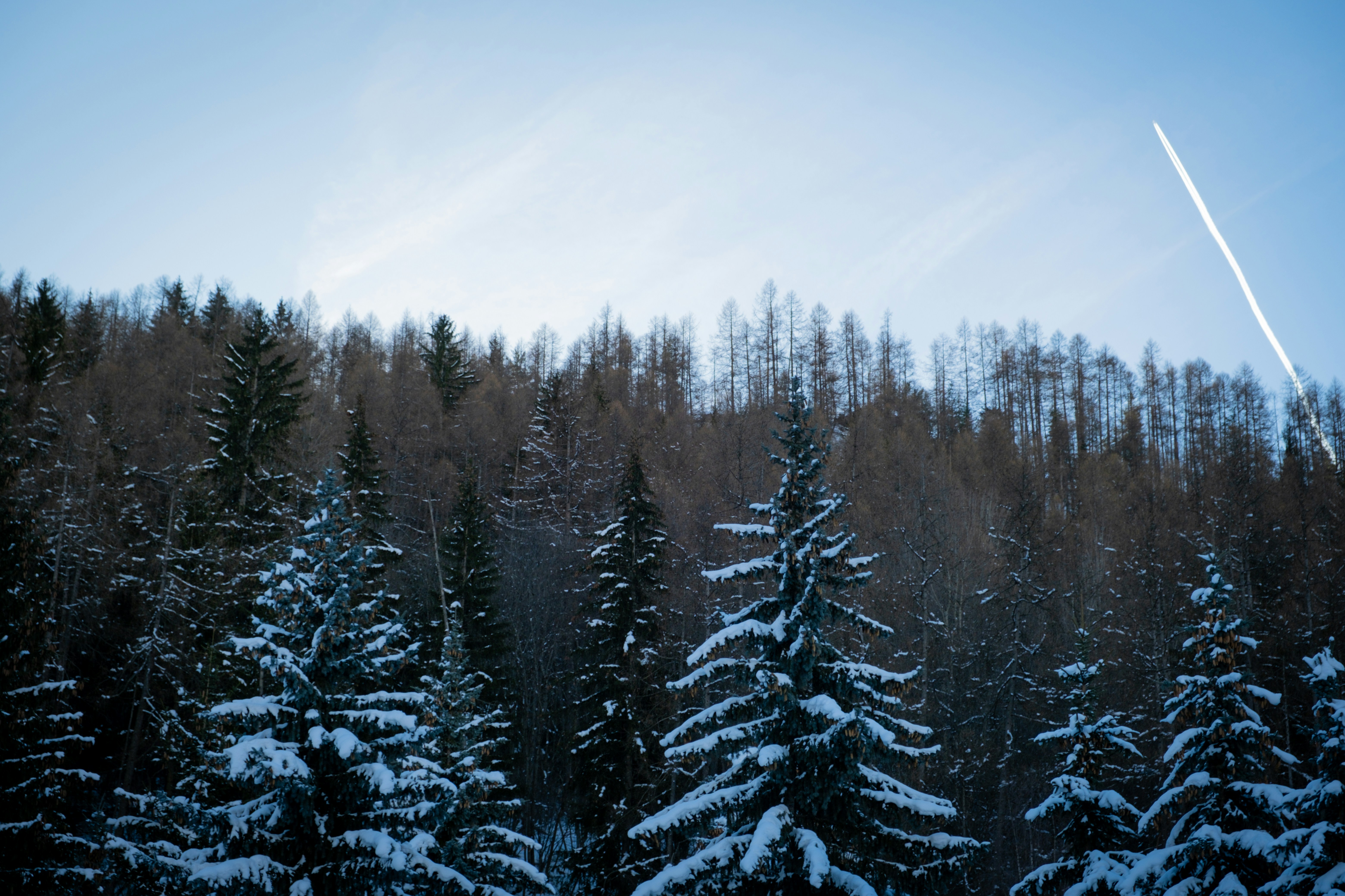 Photo by researchingframes