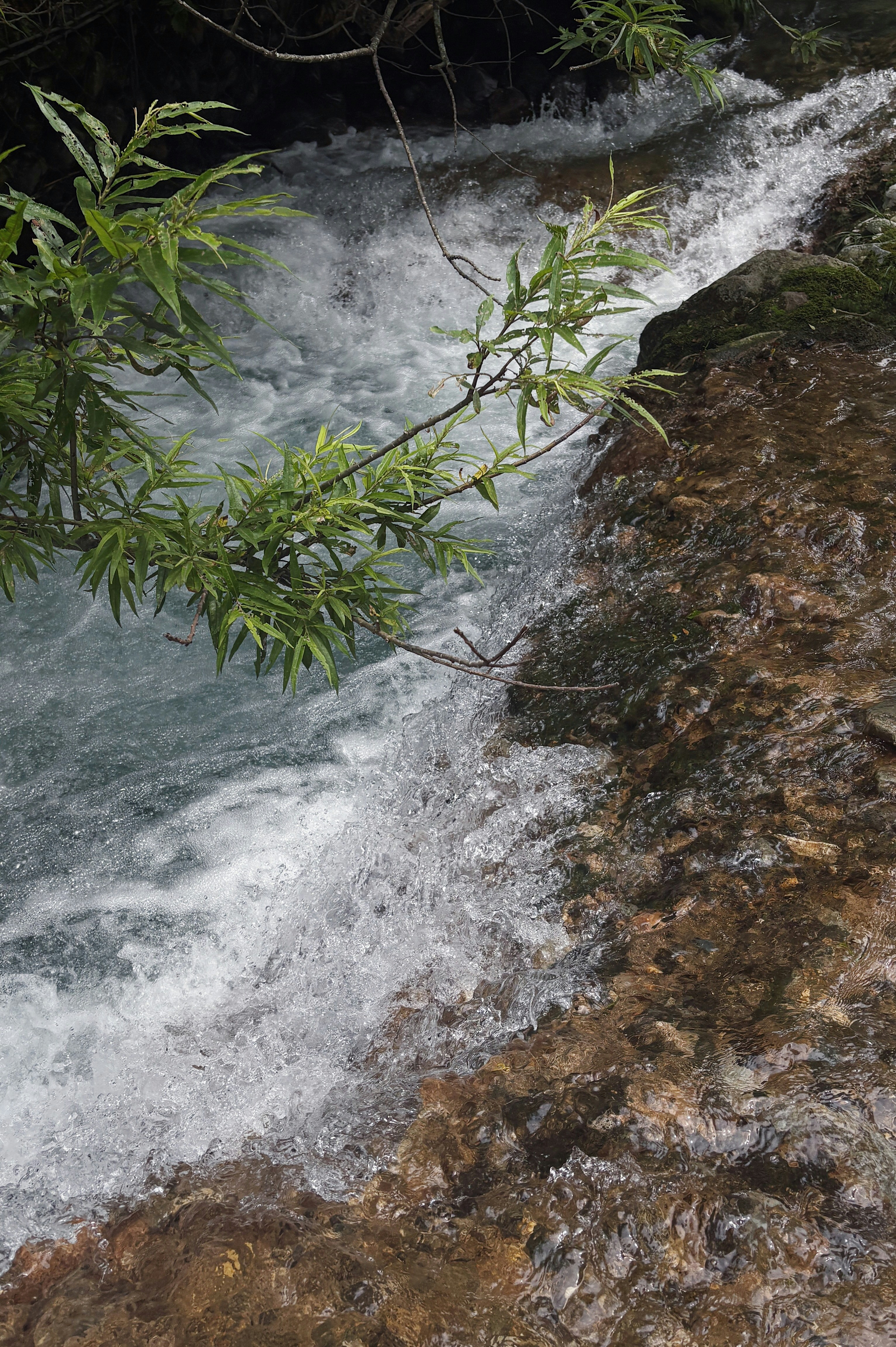 Water cascades over rocks with greenery.