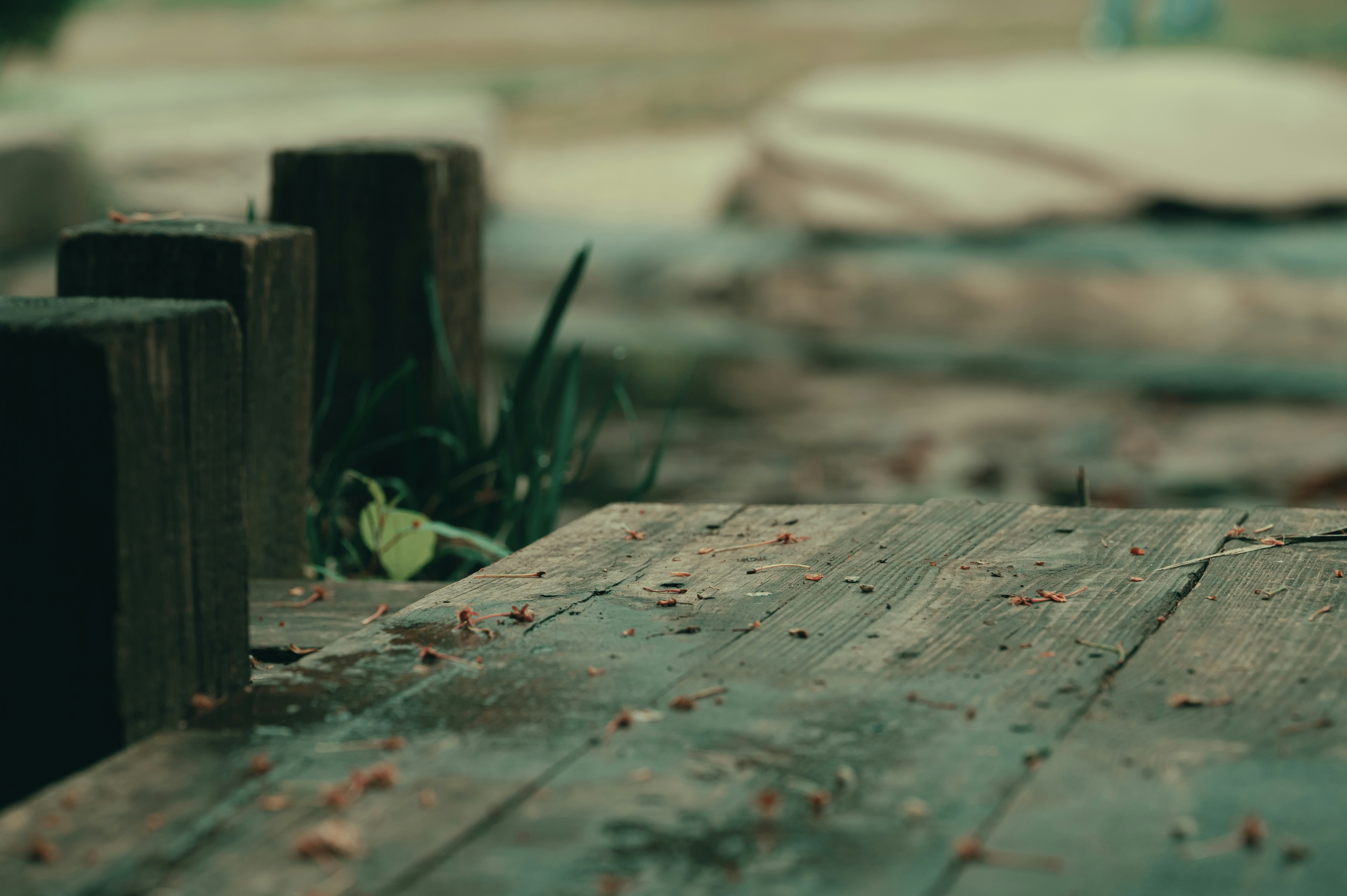 Photo by volodymyr_leush