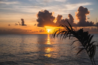 Golden sunset reflects upon the calm sea.