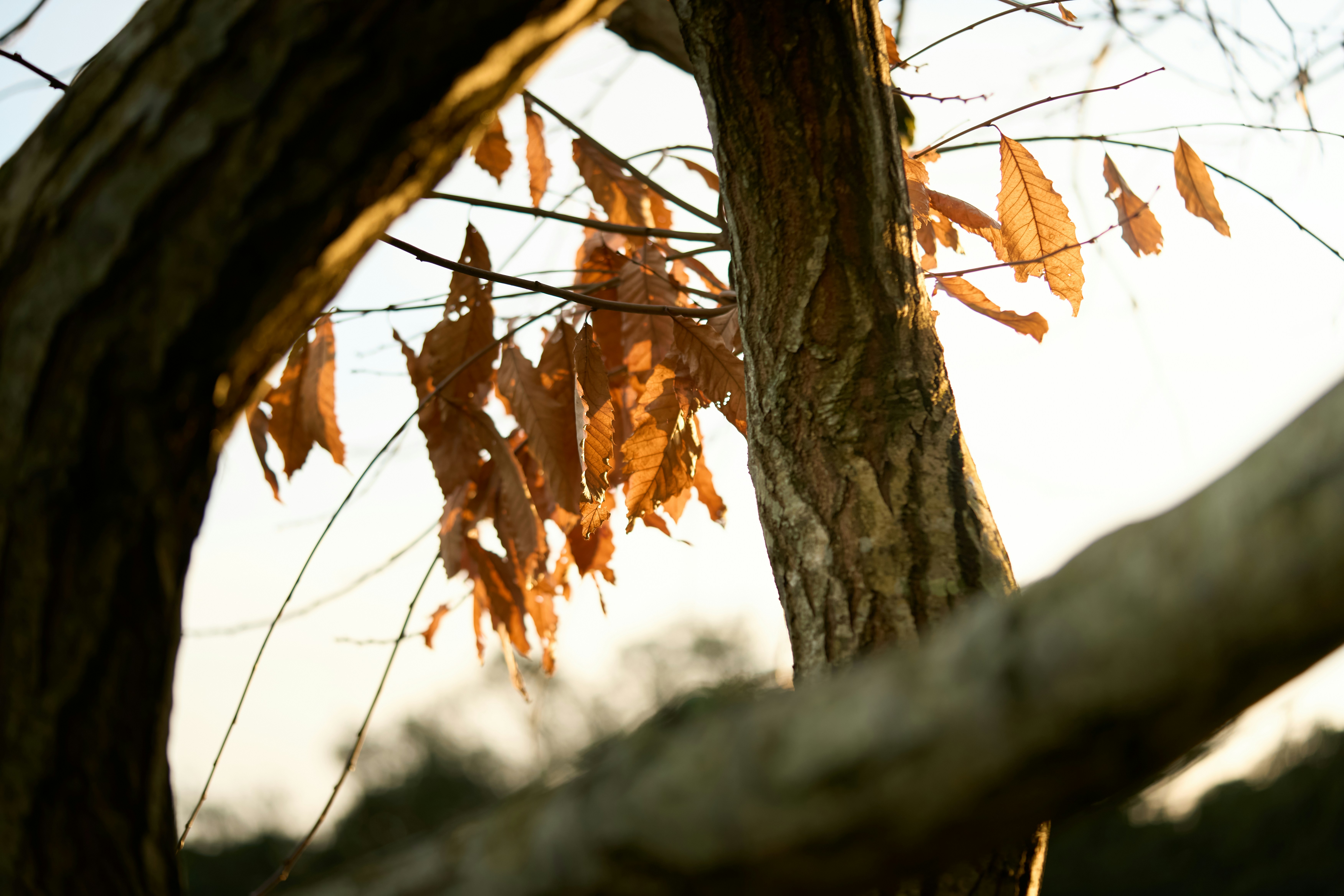 Photo by countingframez