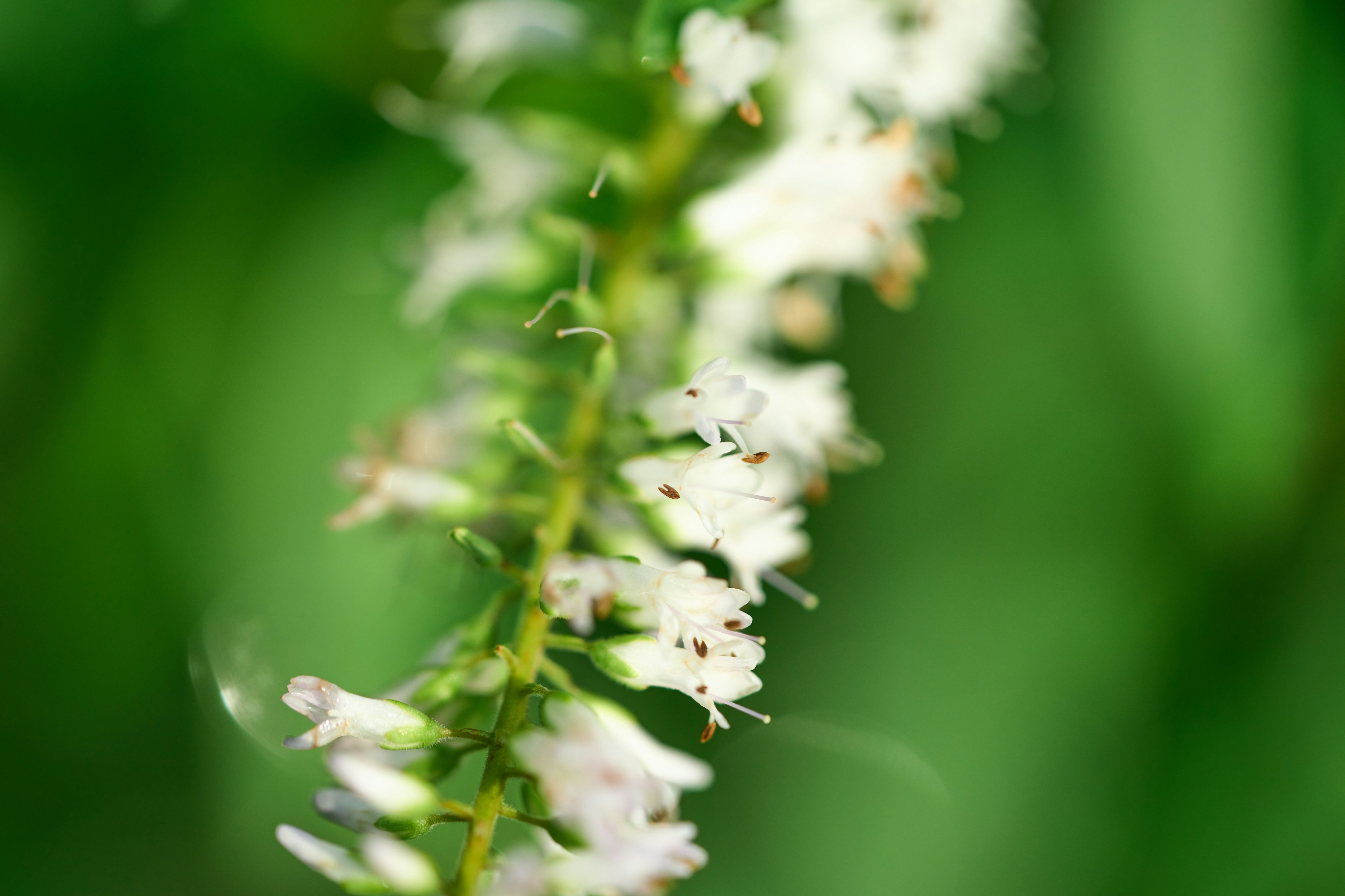 Photo by countingframez