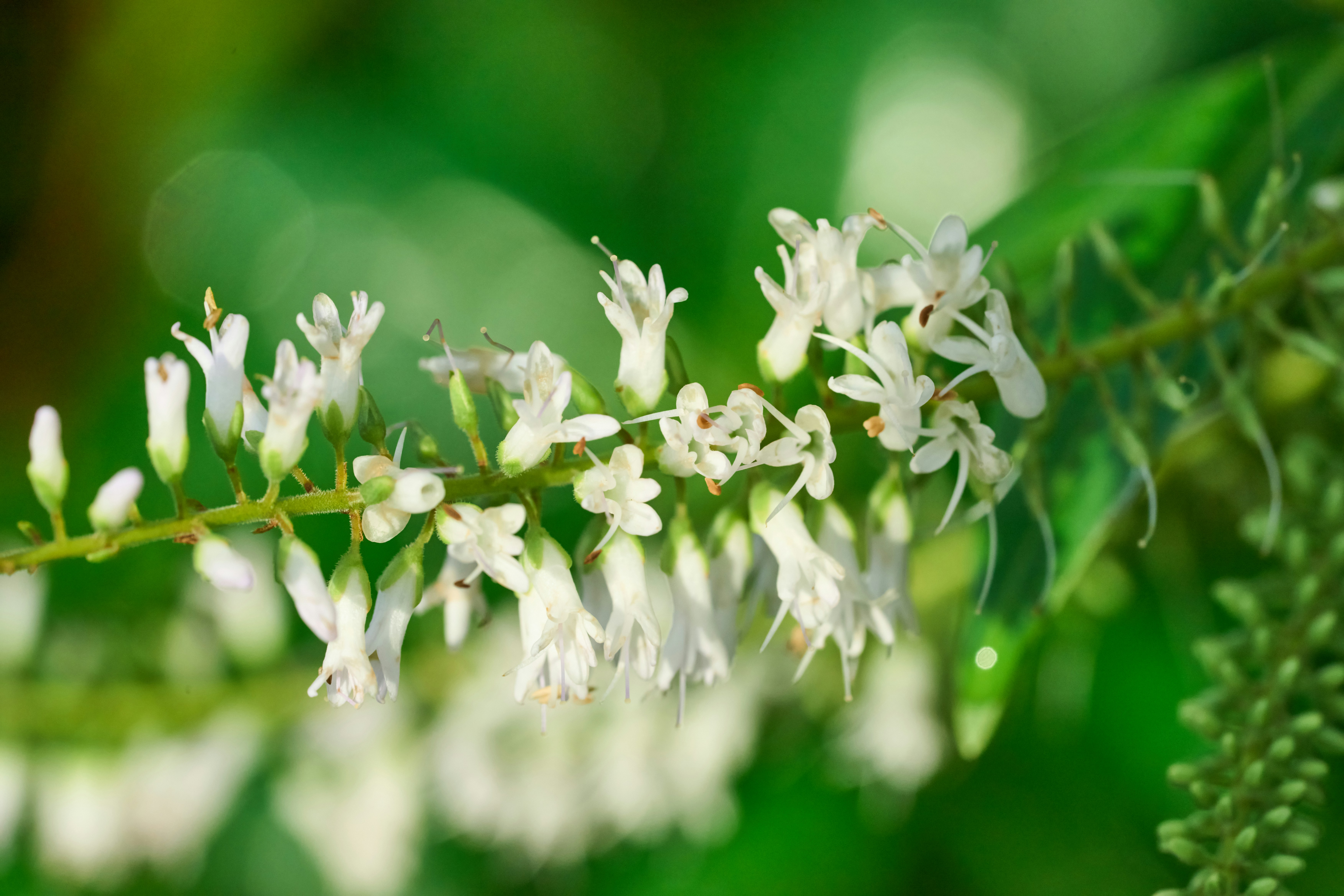 Photo by countingframez