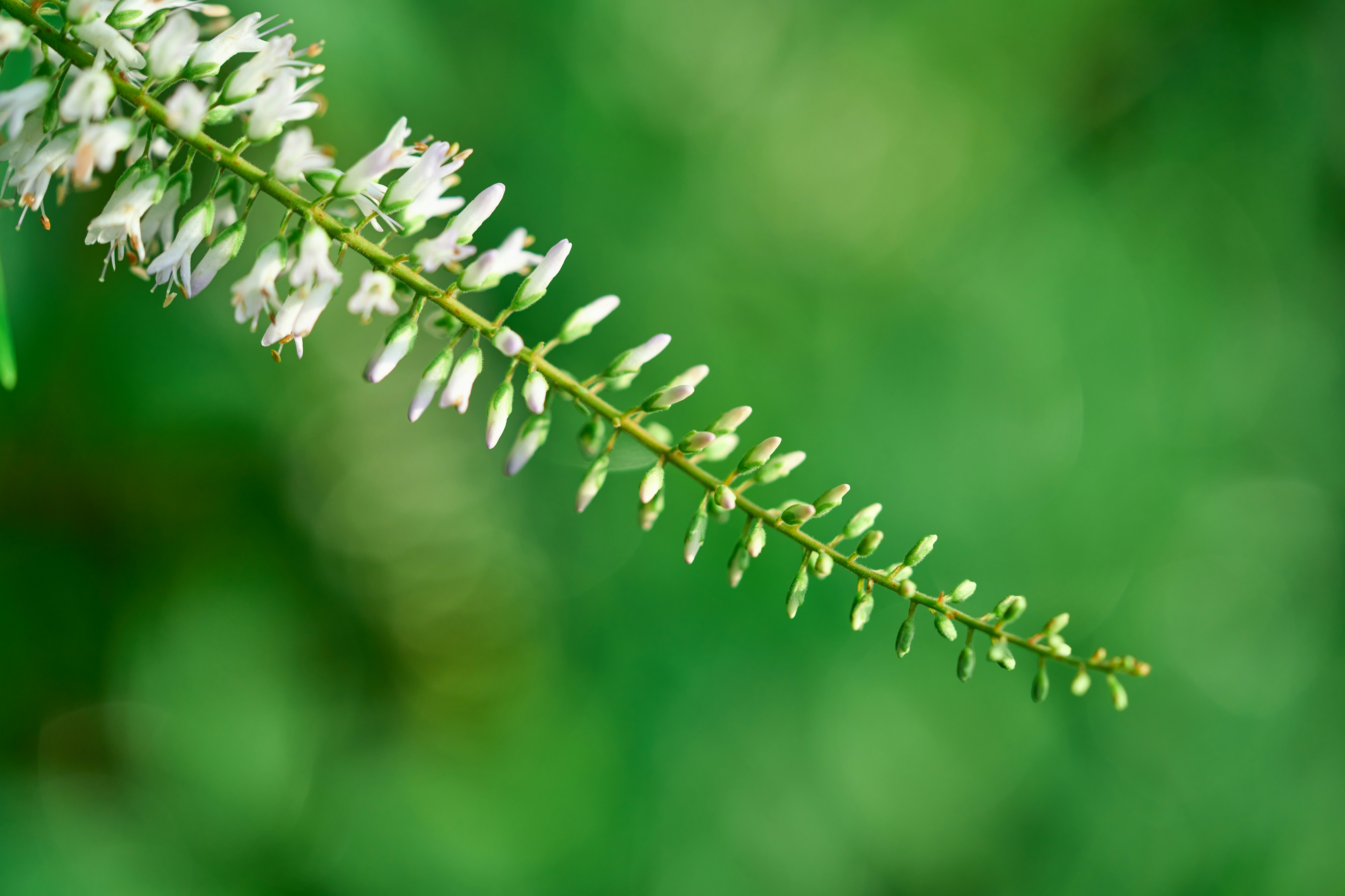 Photo by countingframez