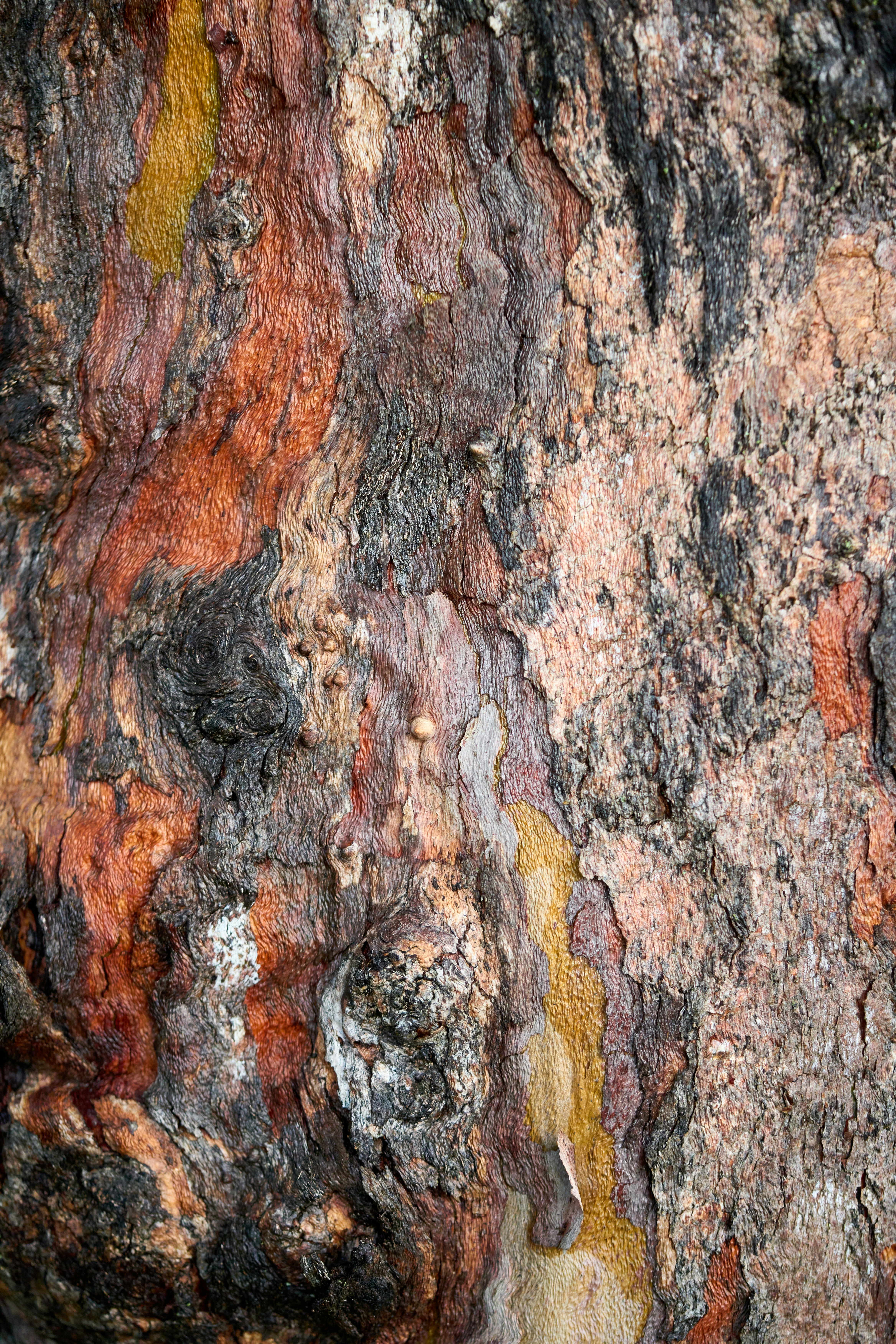 Photo by countingframez