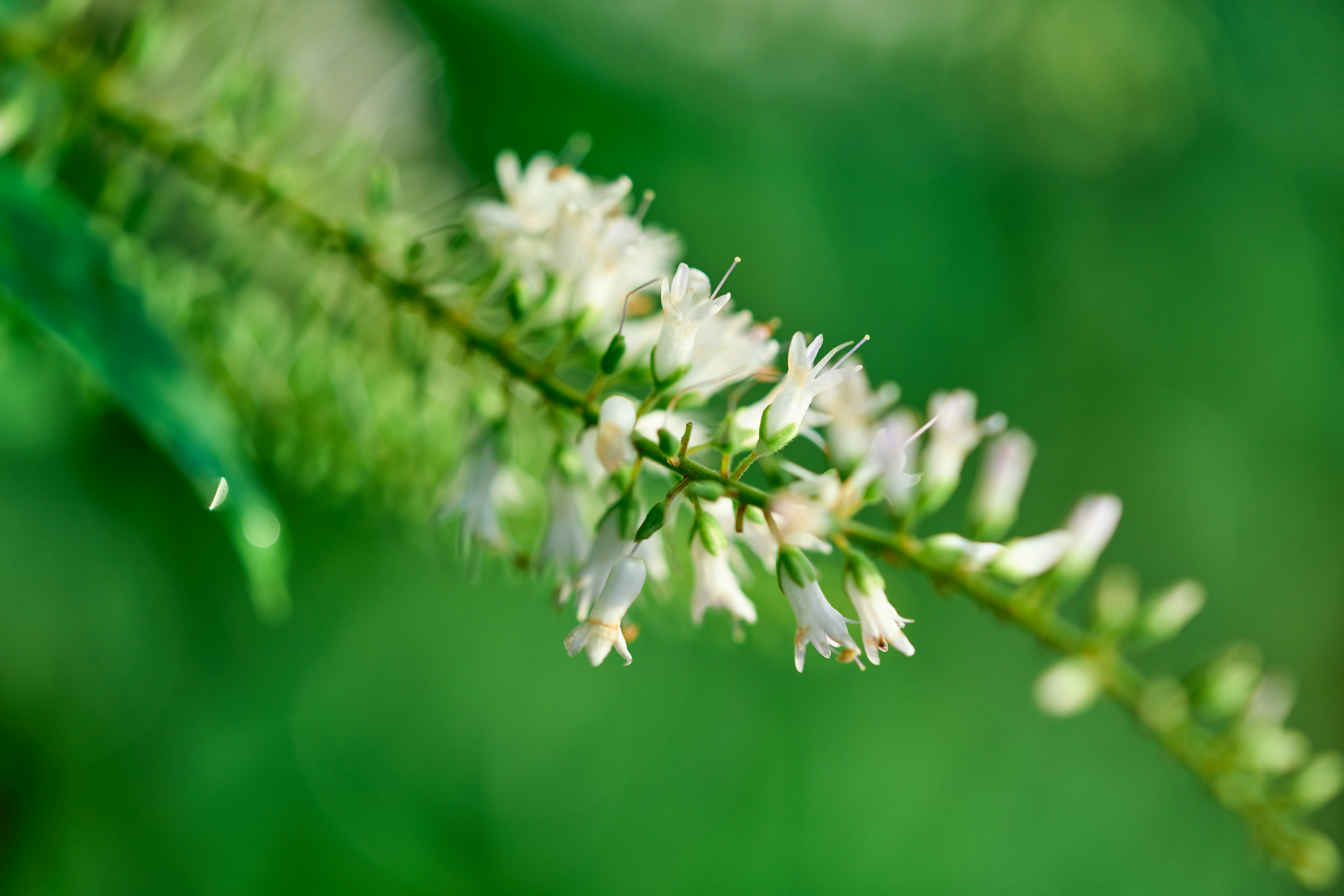 Photo by countingframez