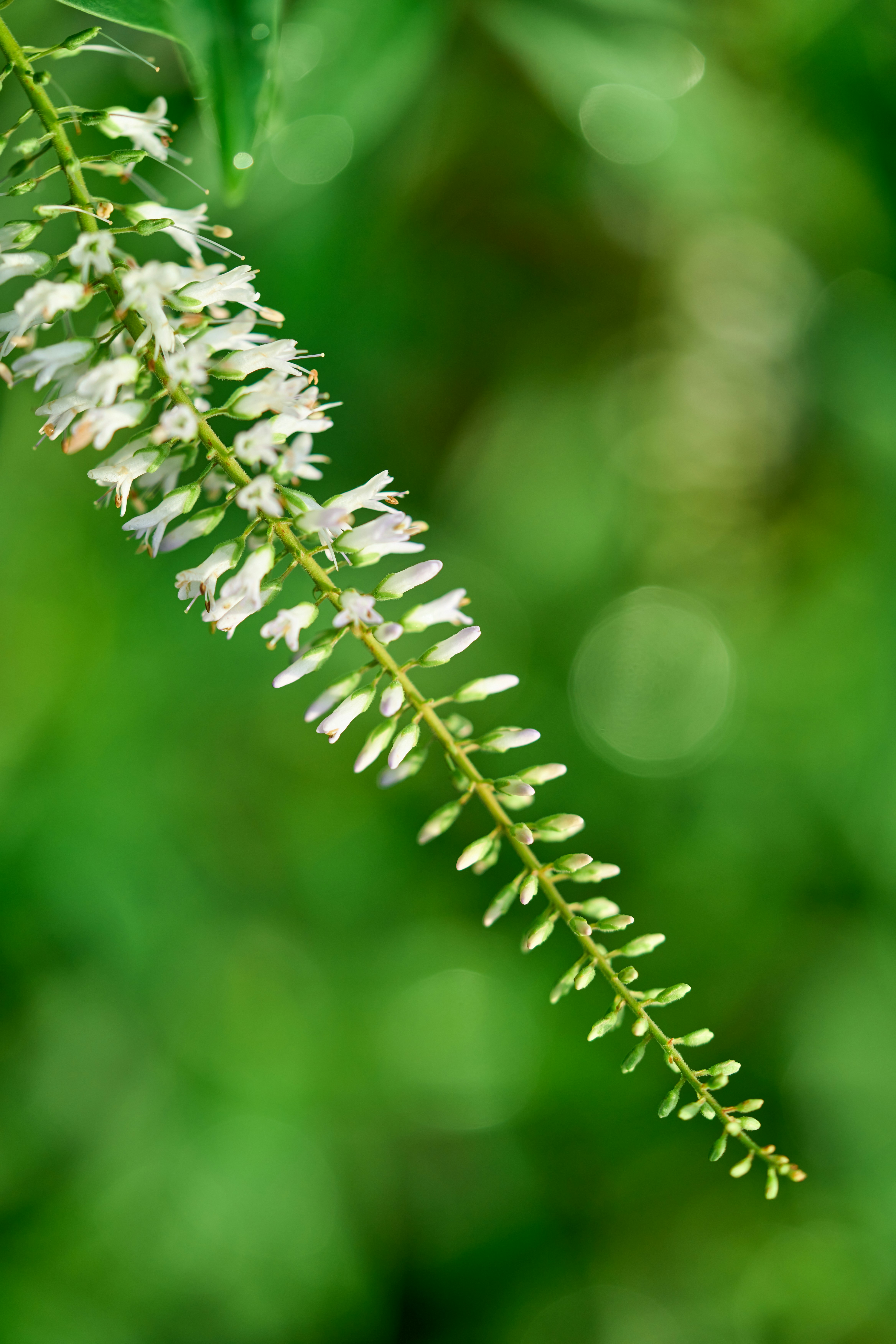 Photo by countingframez