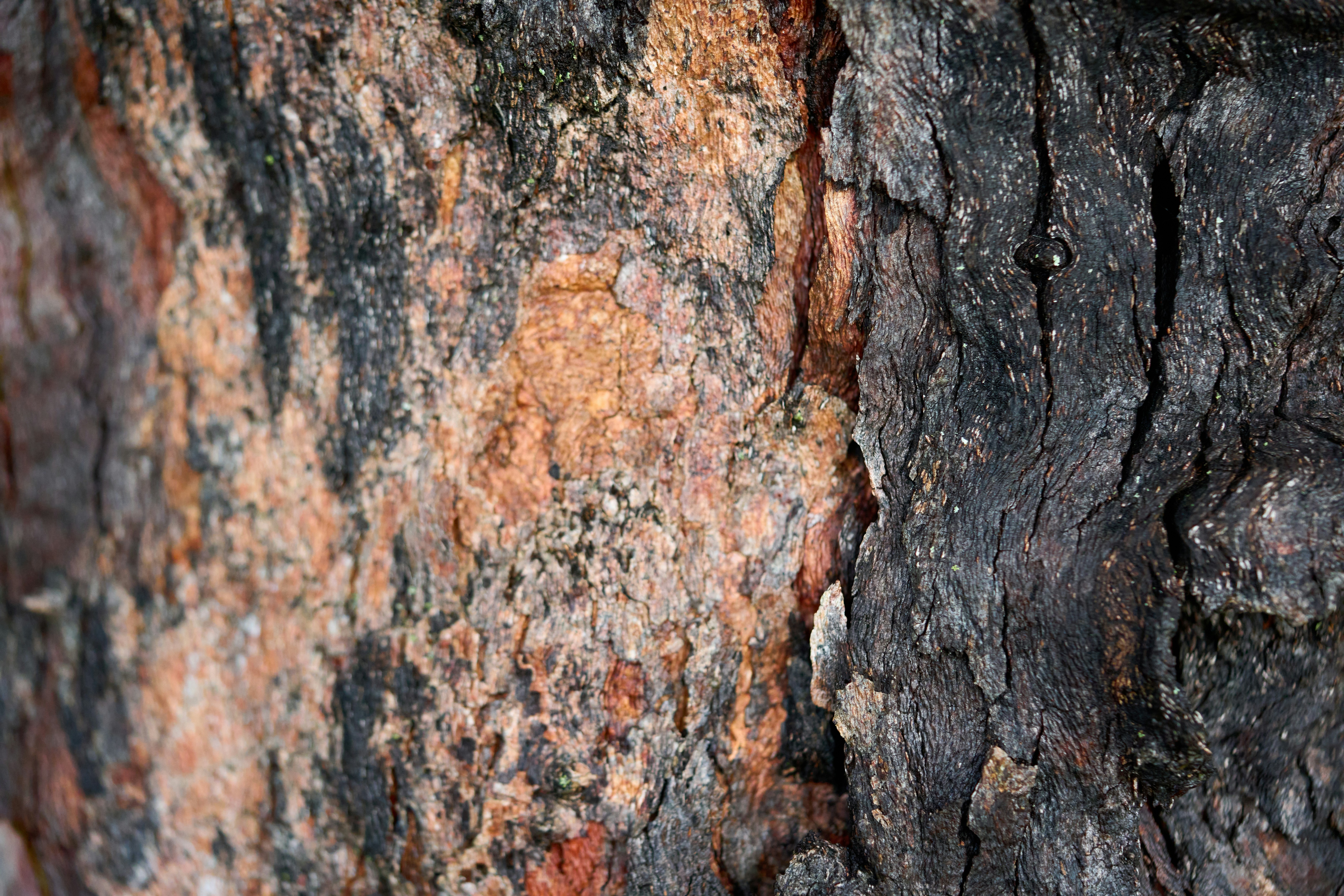 Photo by countingframez