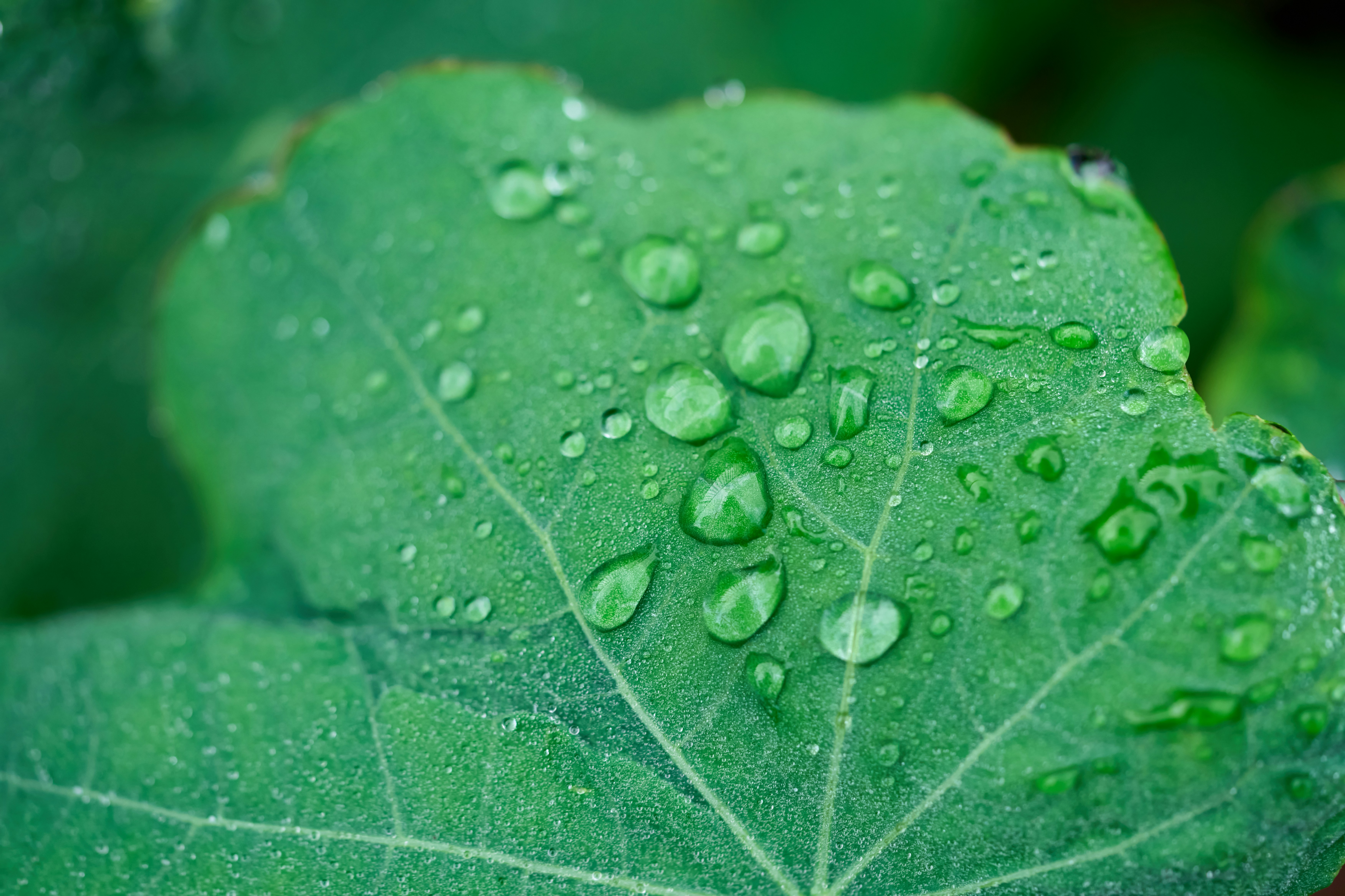 Photo by countingframez