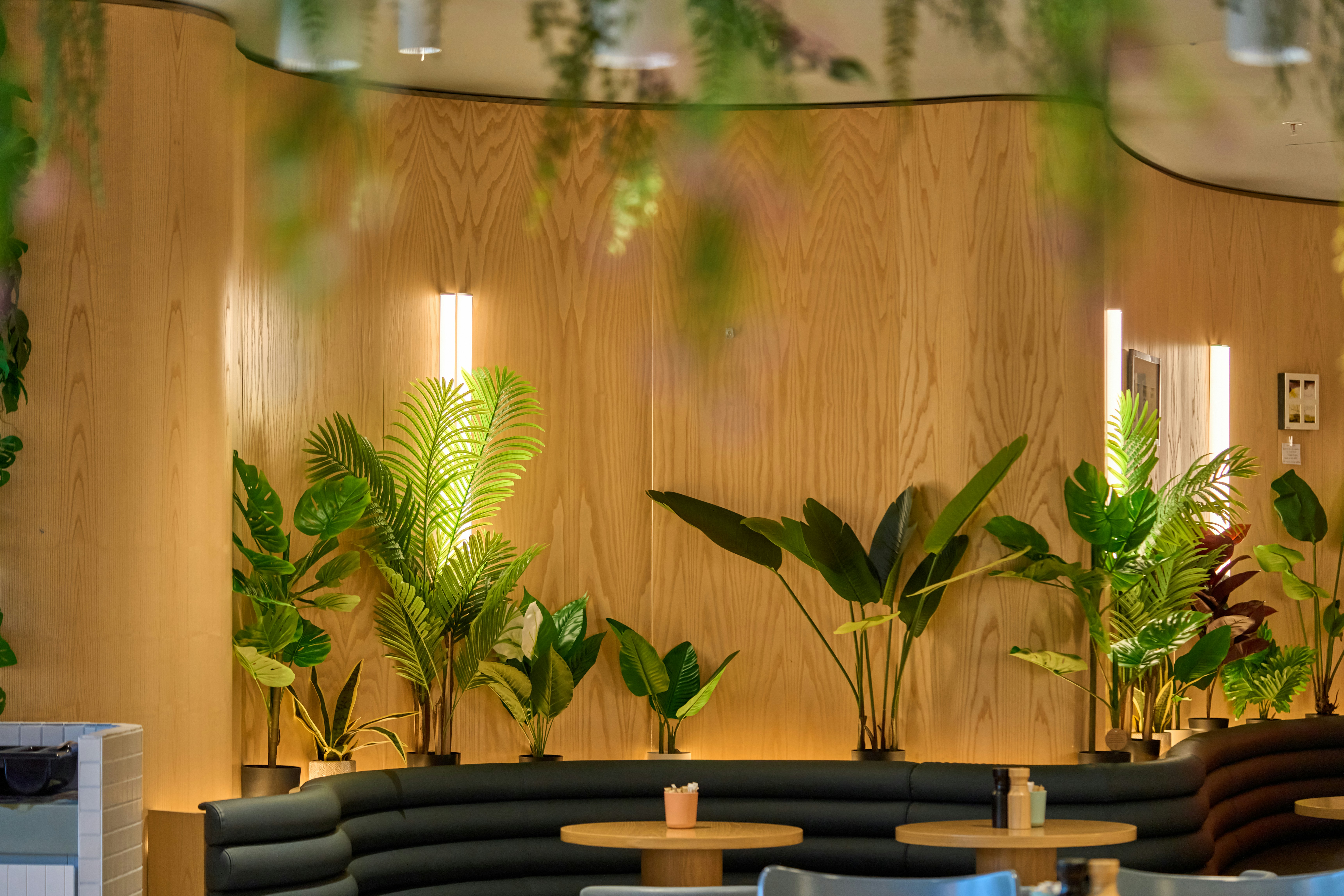 Photo by countingframez