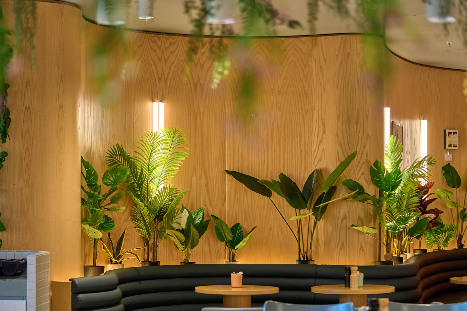 Interior de HUELLA con plantas y madera
