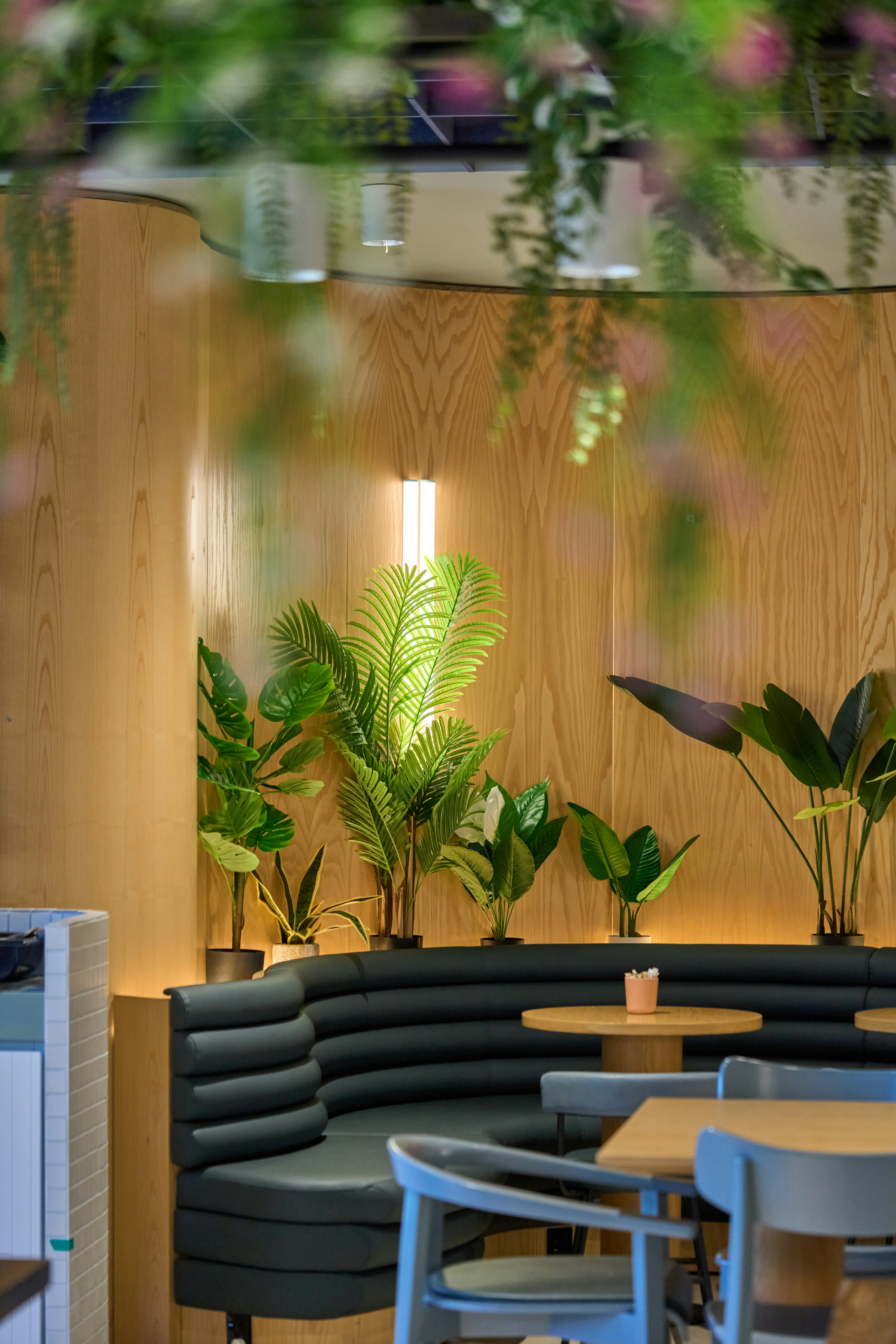 Photo by countingframez