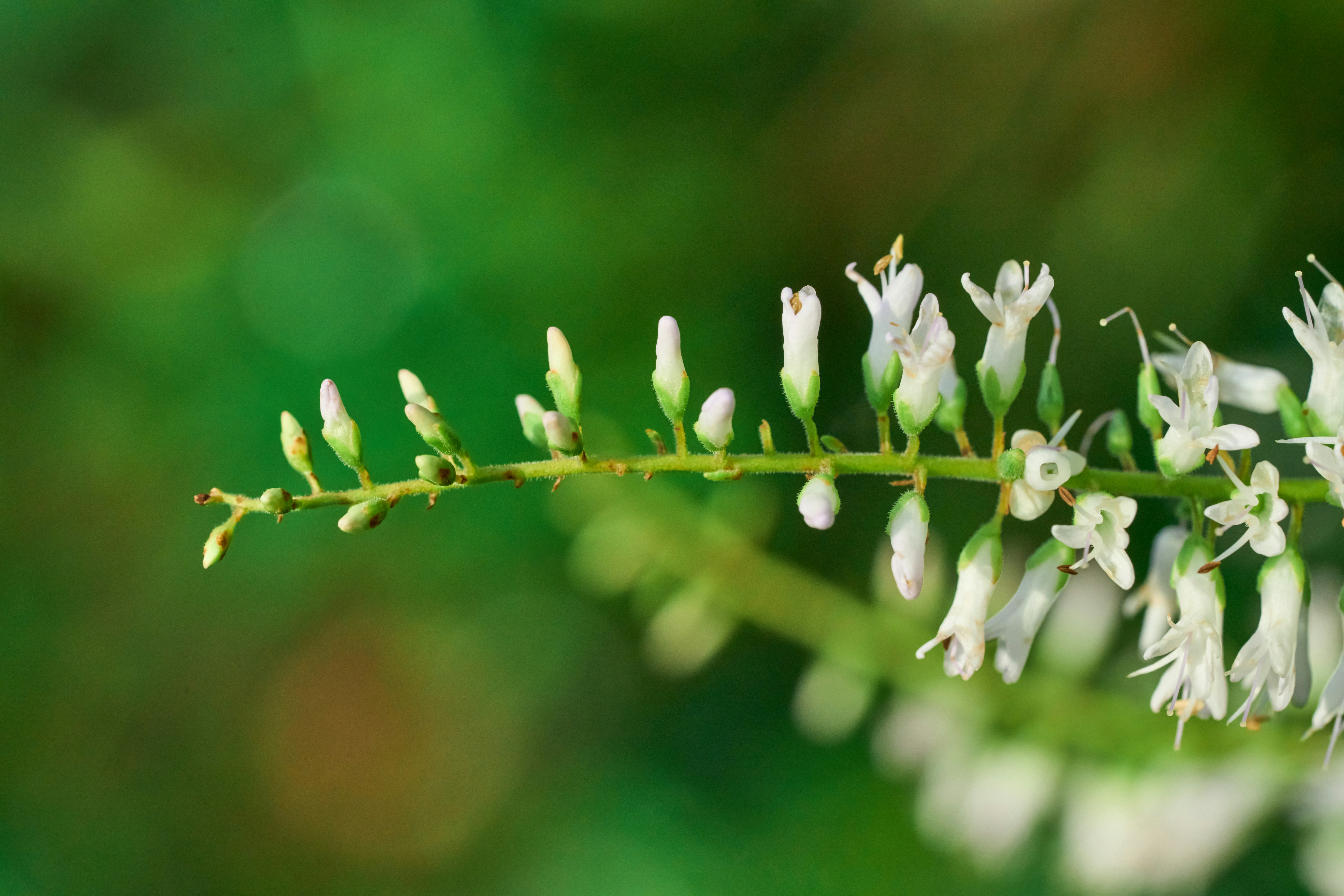 Photo by countingframez