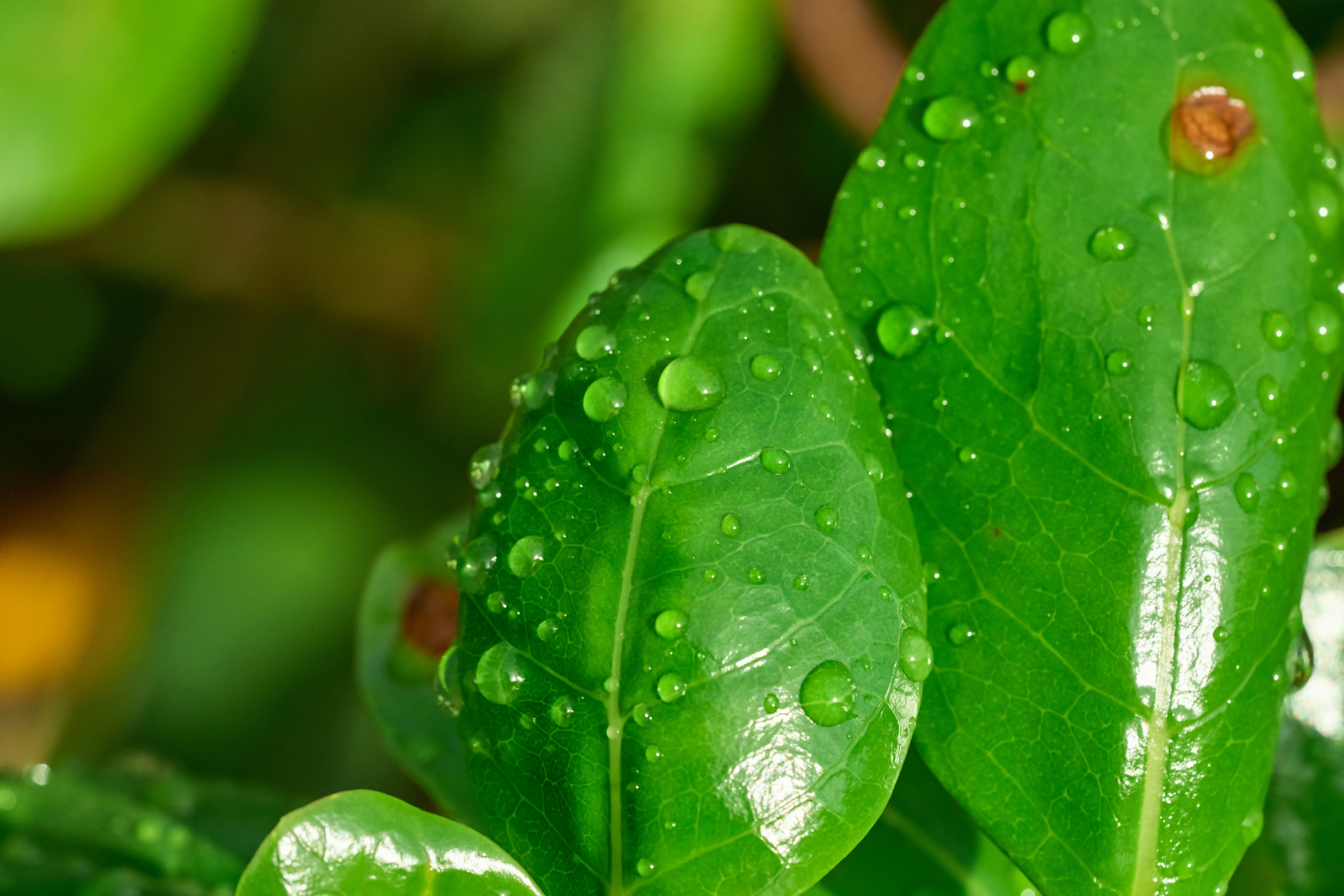 Photo by countingframez