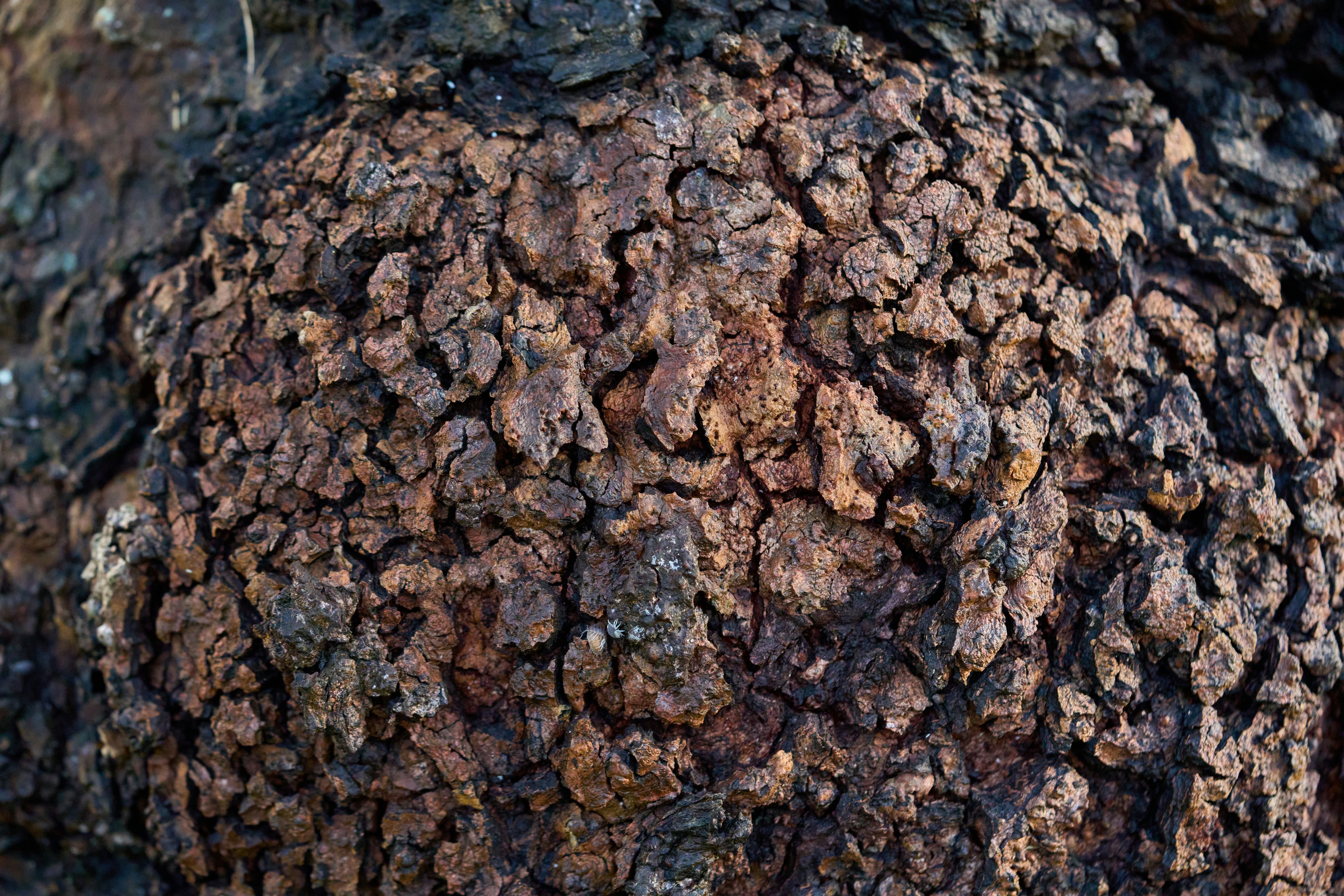 Photo by countingframez