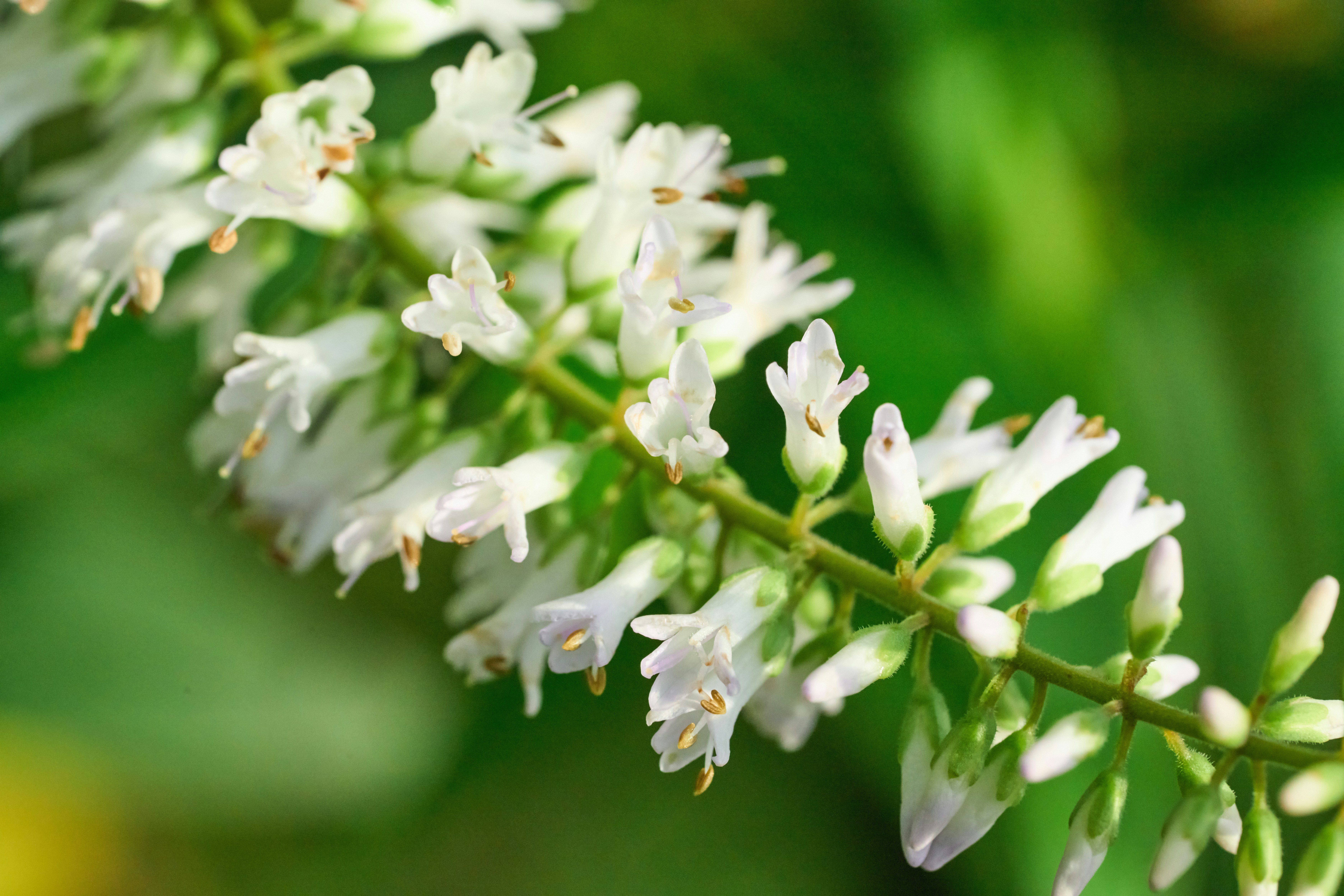 Photo by countingframez