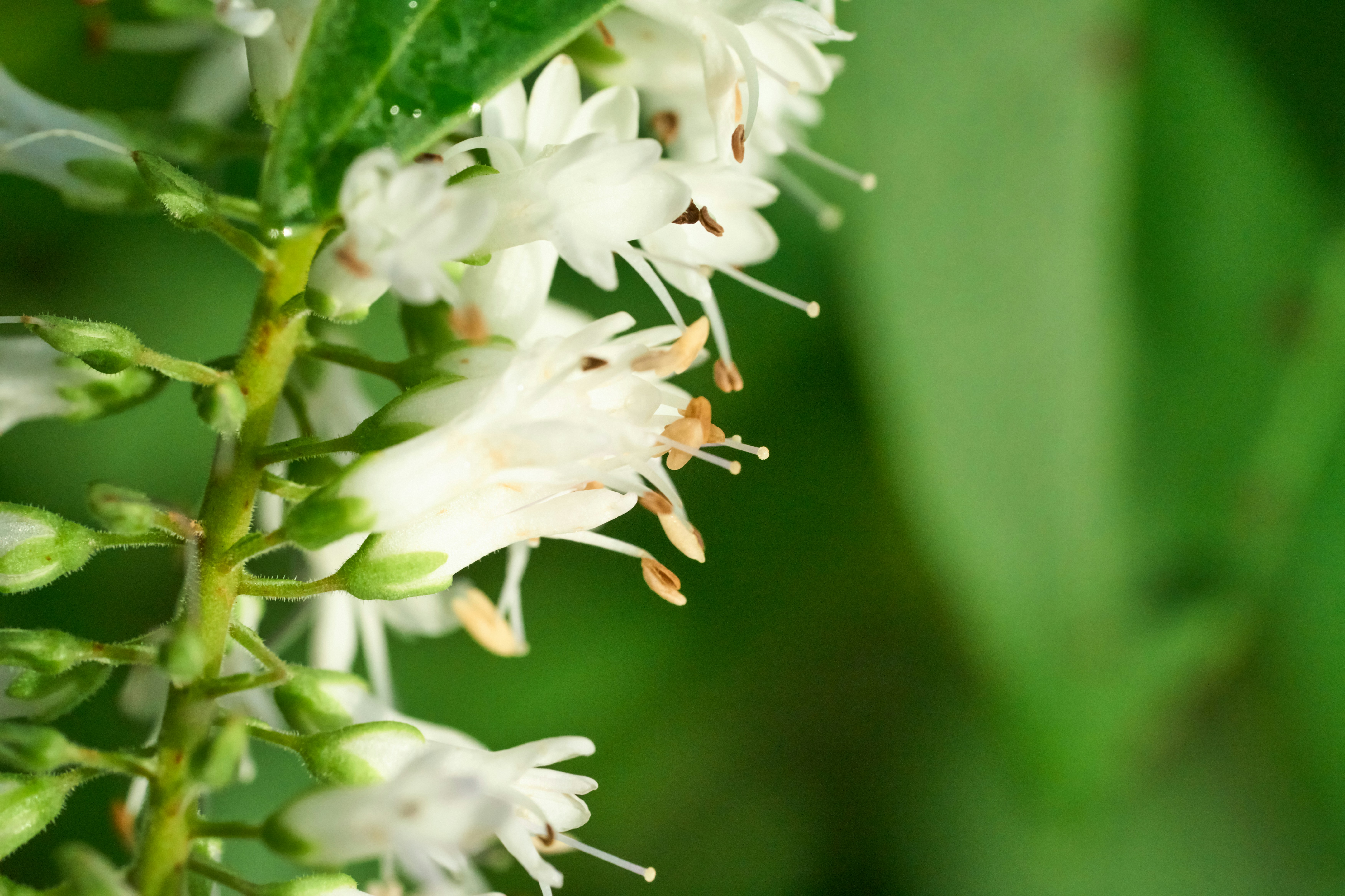 Photo by countingframez