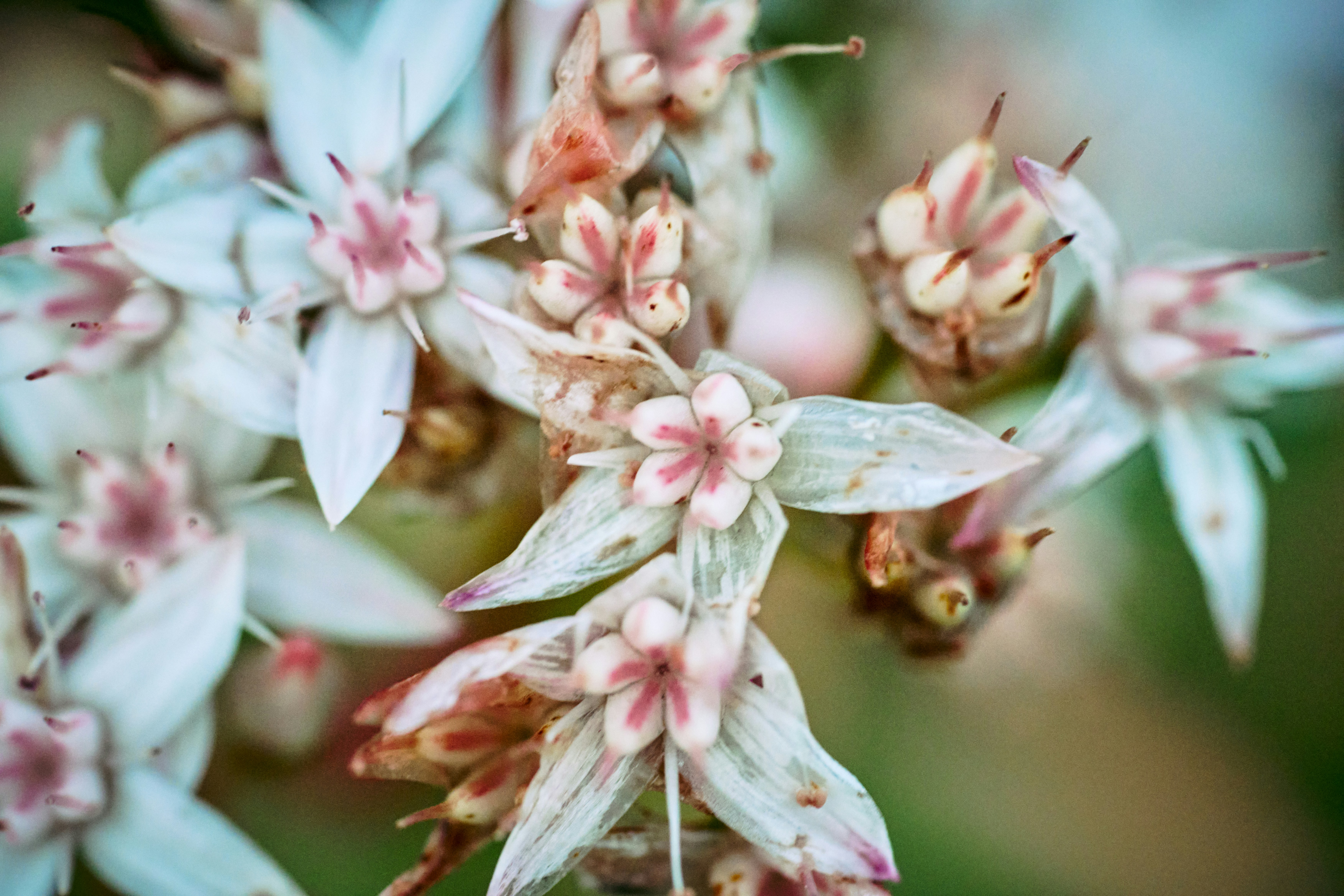 Photo by countingframez