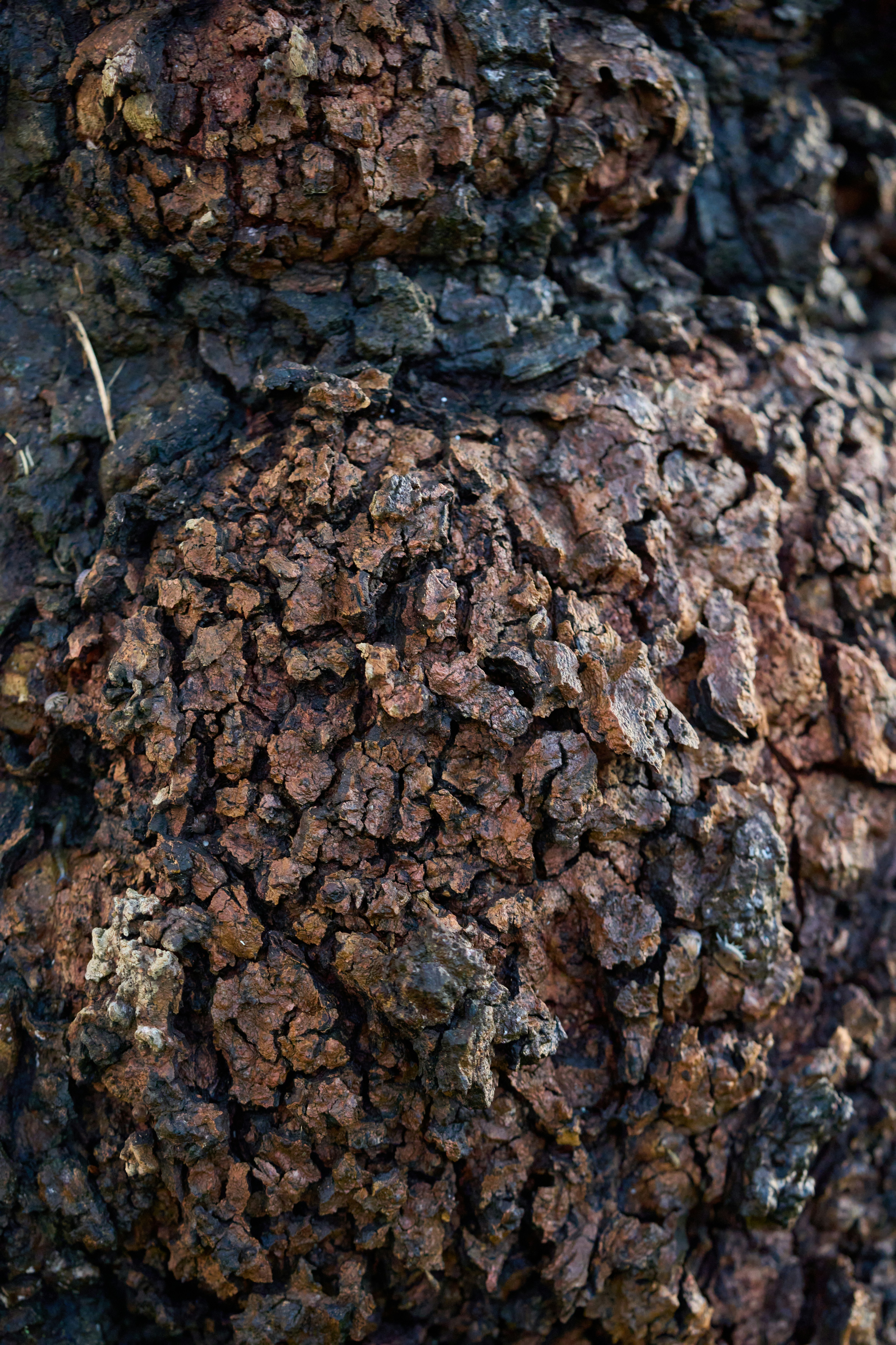 Photo by countingframez