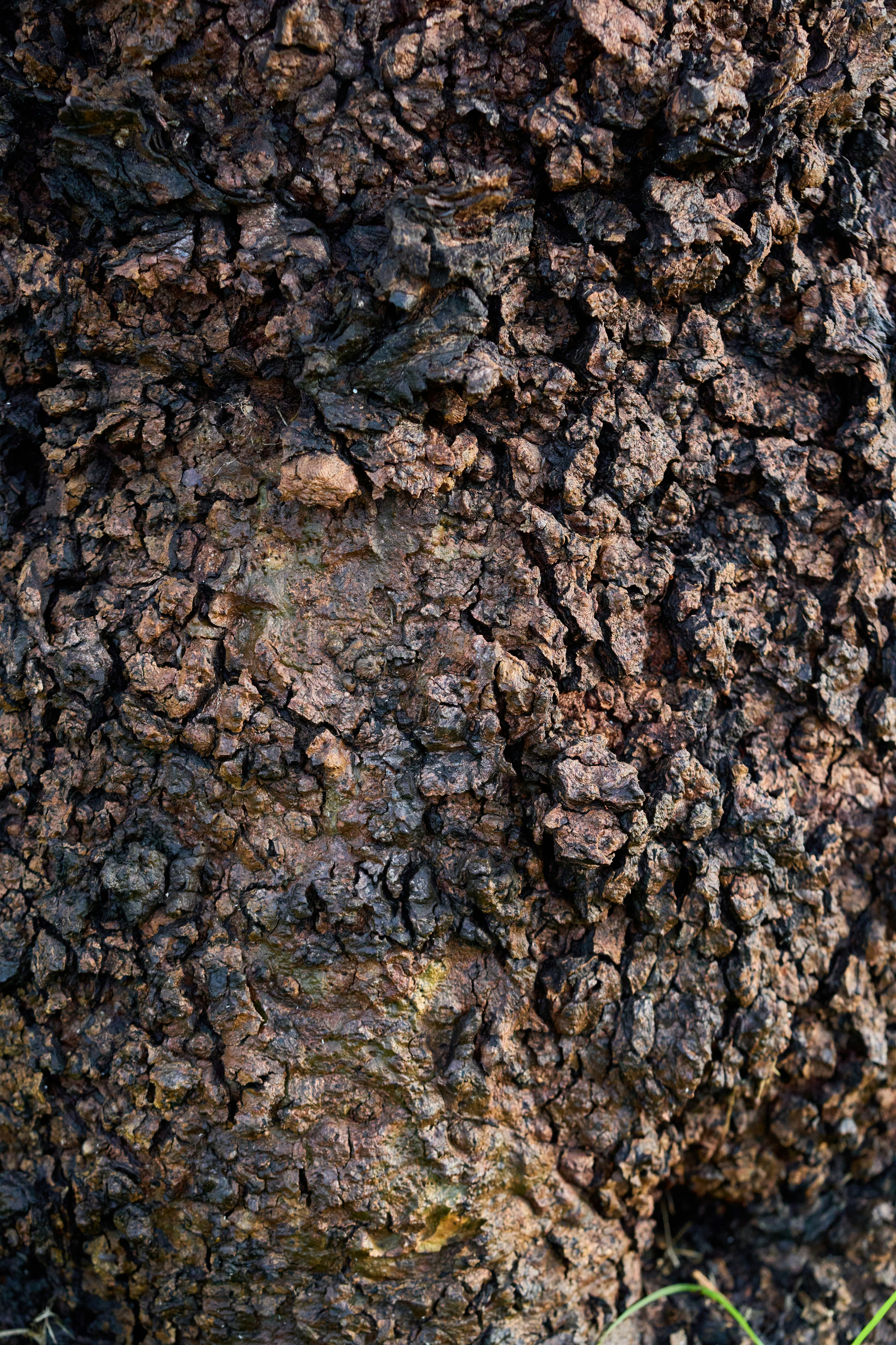 Photo by countingframez