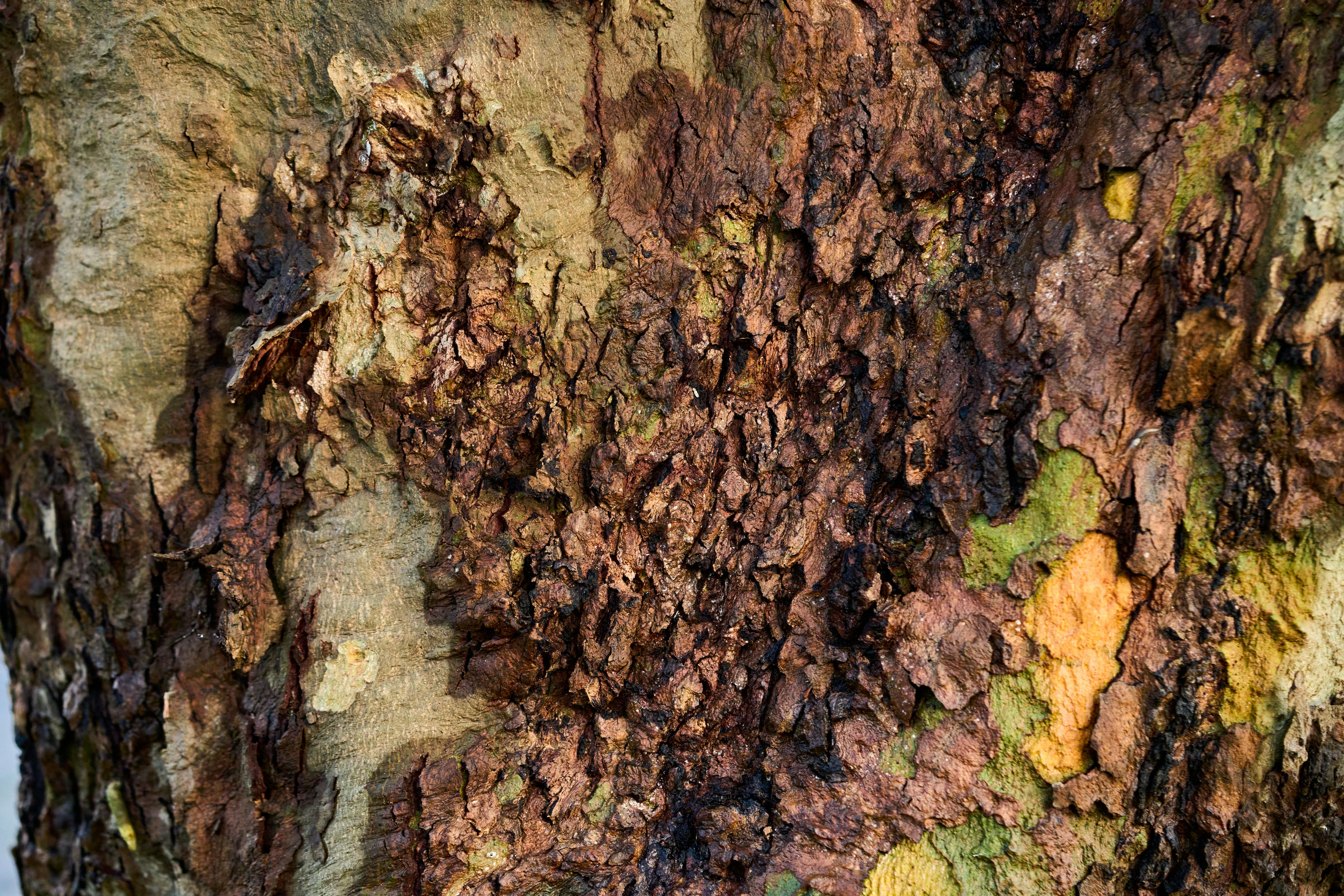 Photo by countingframez